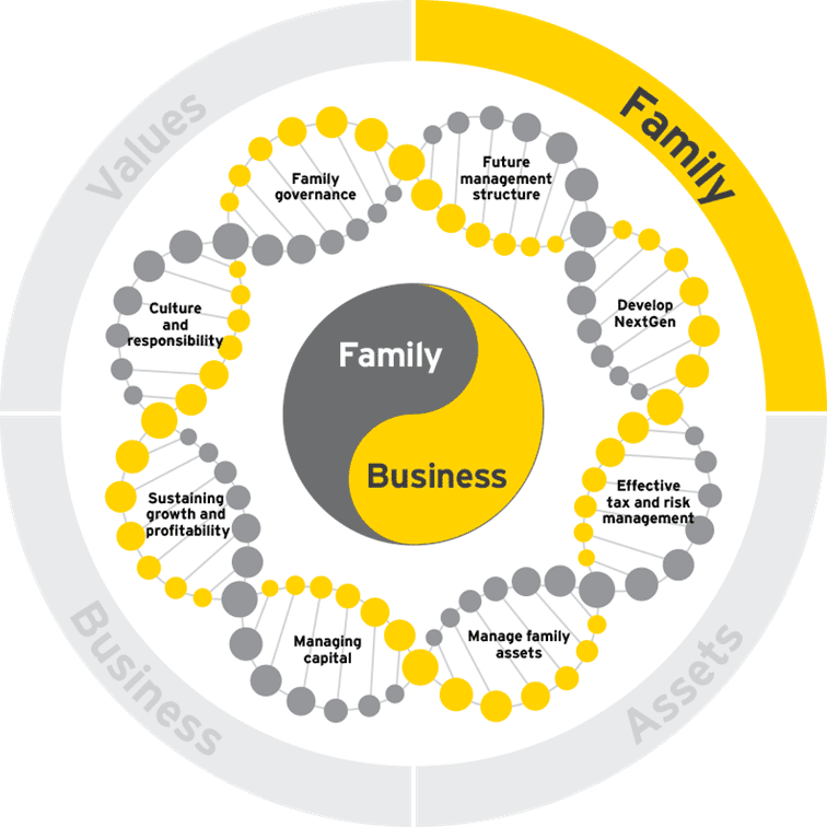 Family business growth dna family