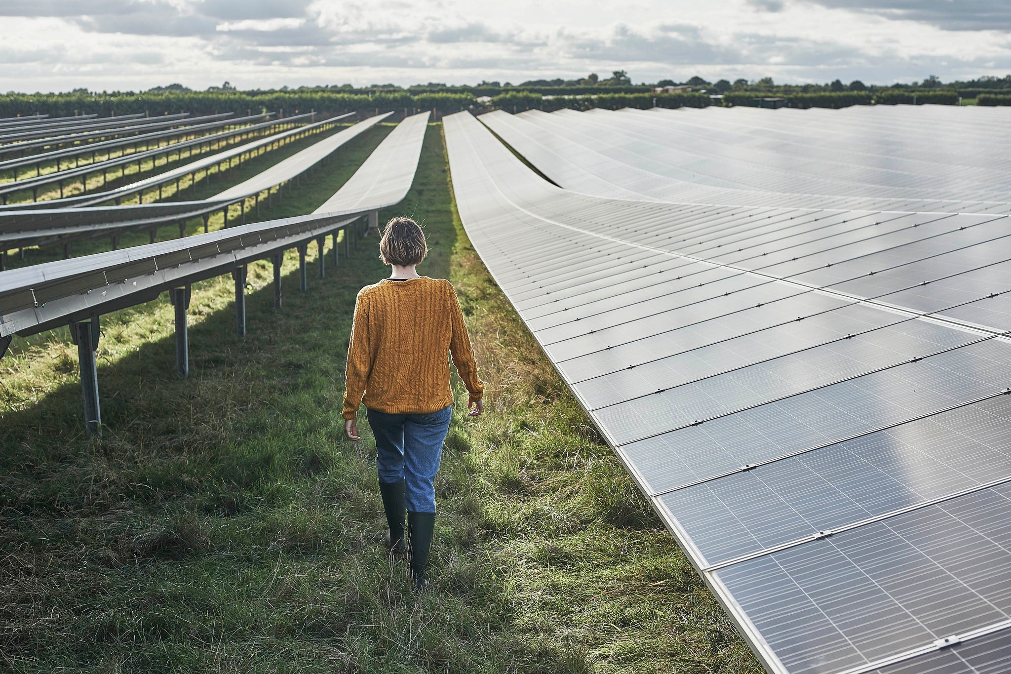 Young female farmer walking away from camera, between solar panels on her solar farm