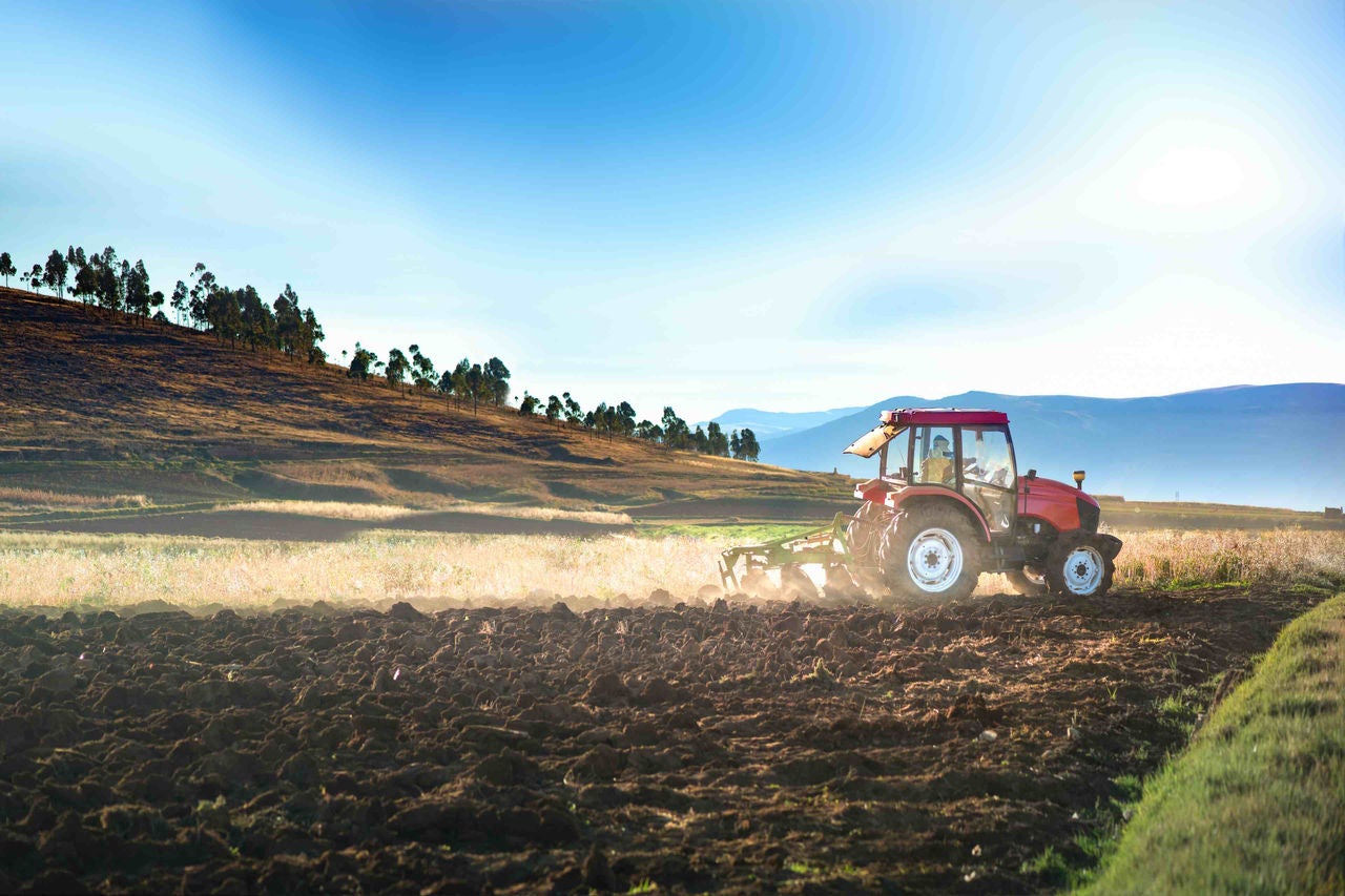 Guía de Negocios e Inversión en Agricultura y Agribusiness en el Perú 2022/2023