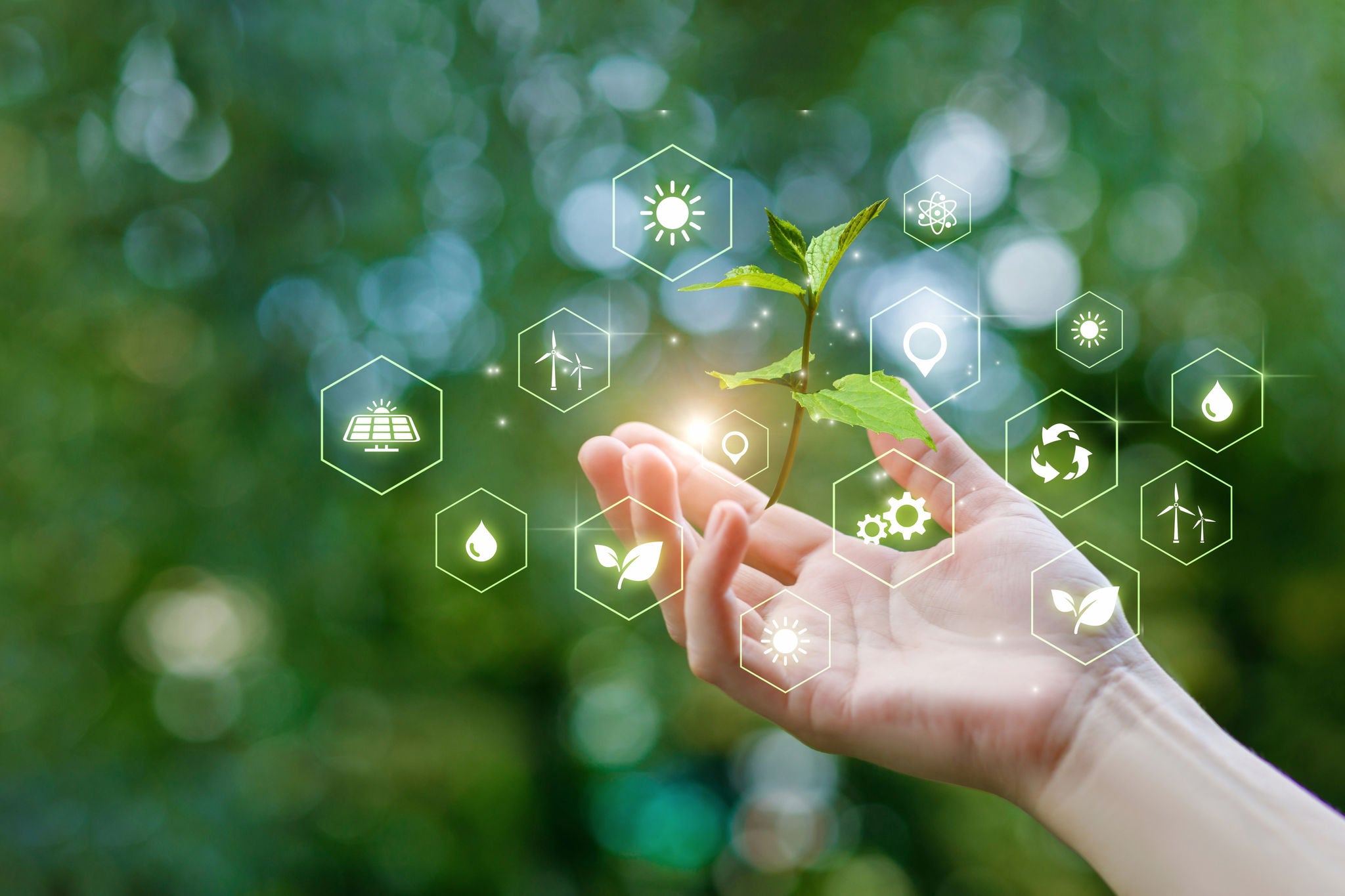 hand holding a green leaf with sustainability icons