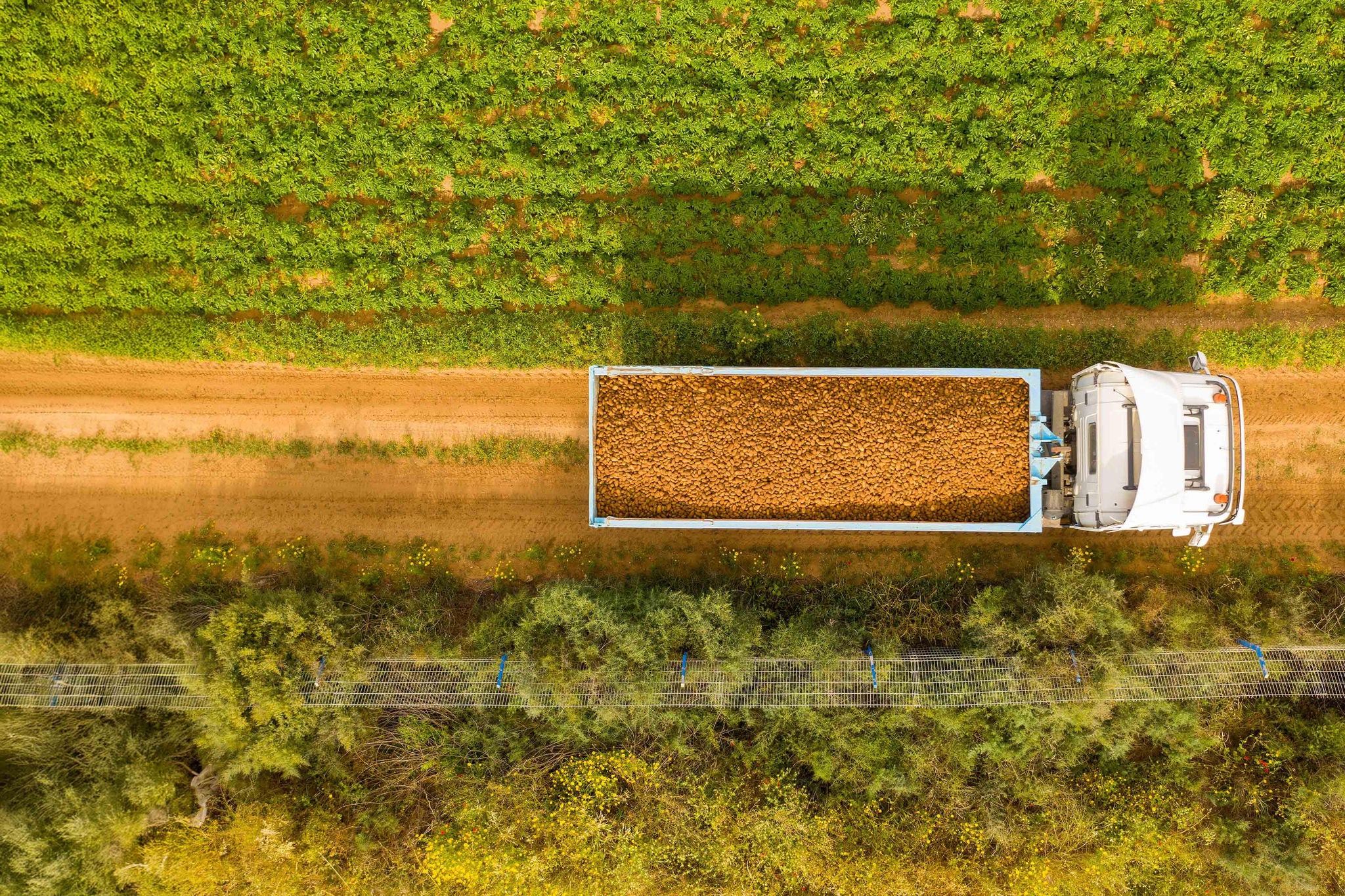 Truck loaded with fresh picked produce crossing a field