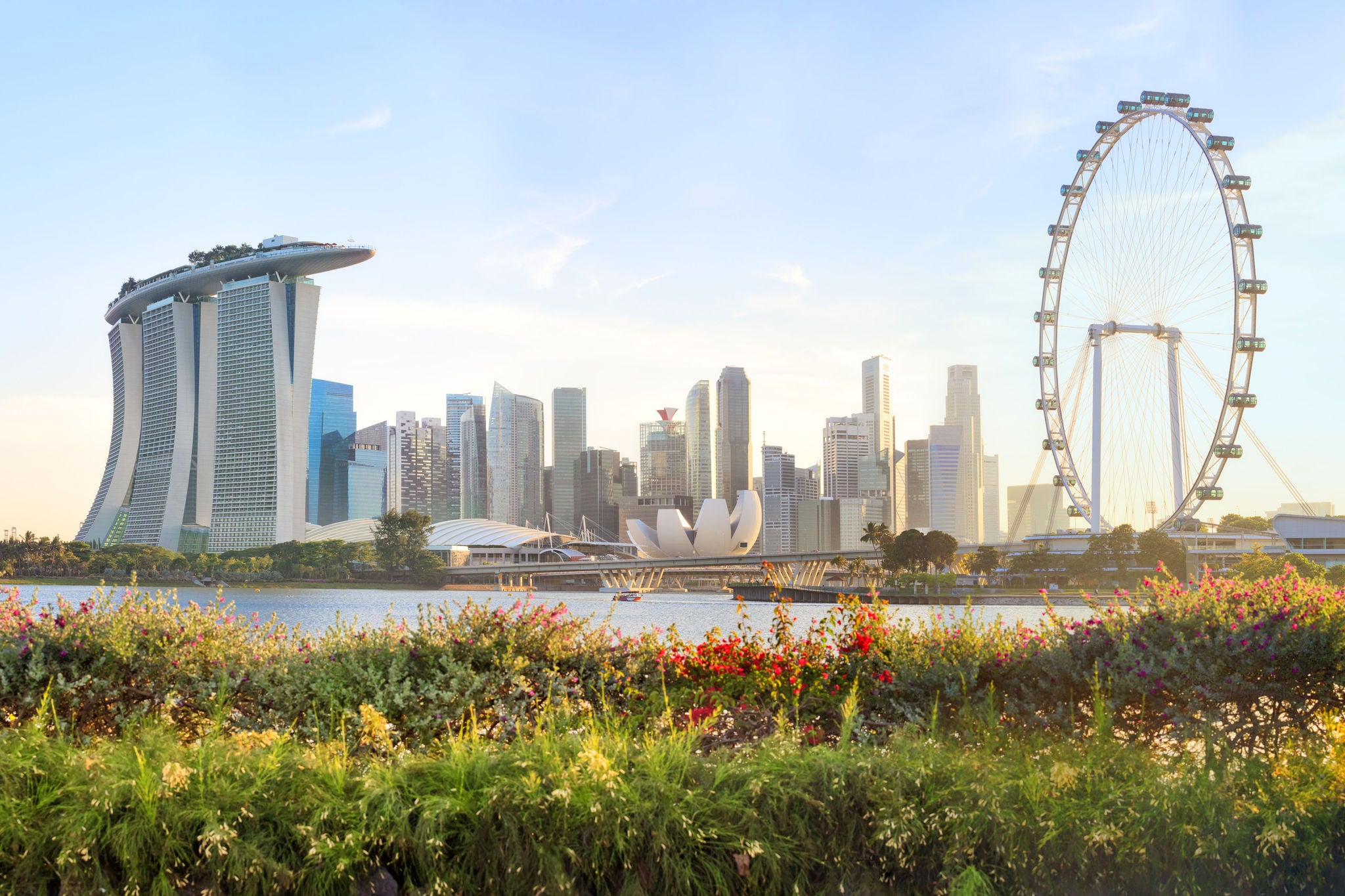 Pitaara-box-singapore-skyline