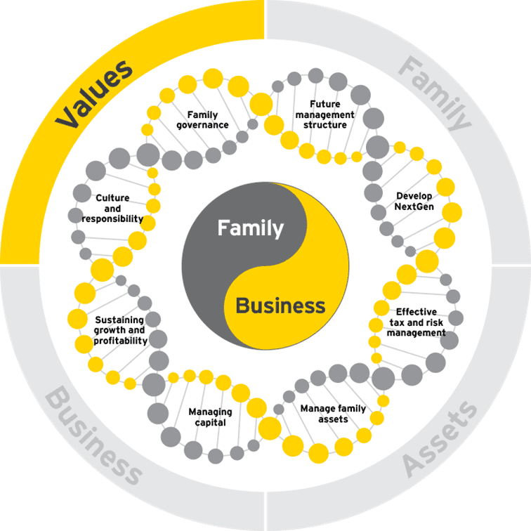 family business growth dna values