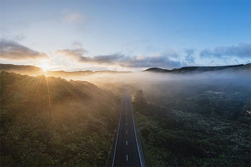 EY Japan Integrated Report 2023：LTV Metrics