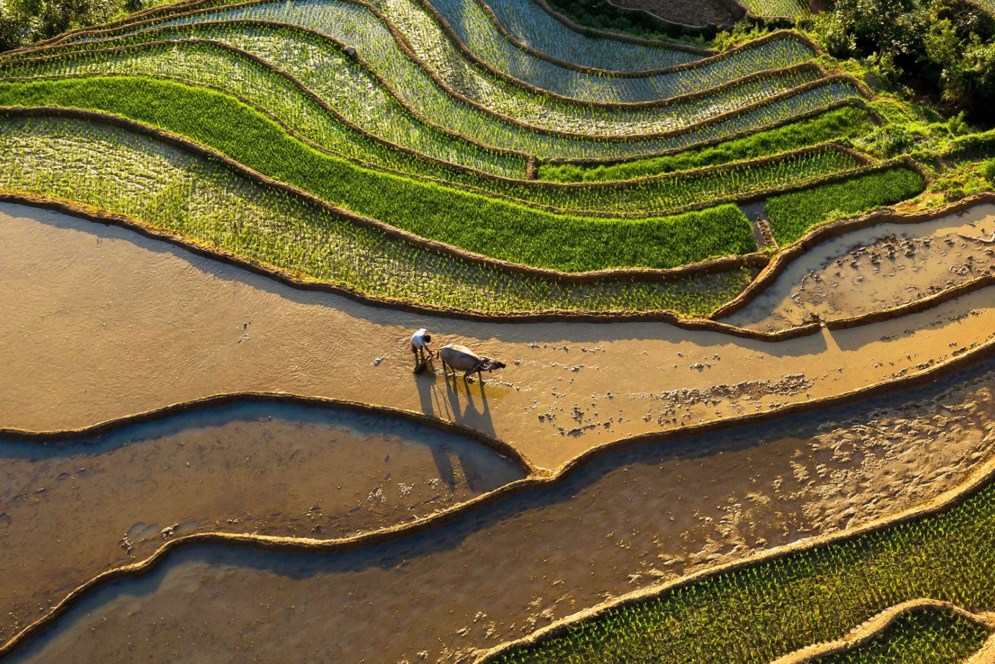 The photo view of farming