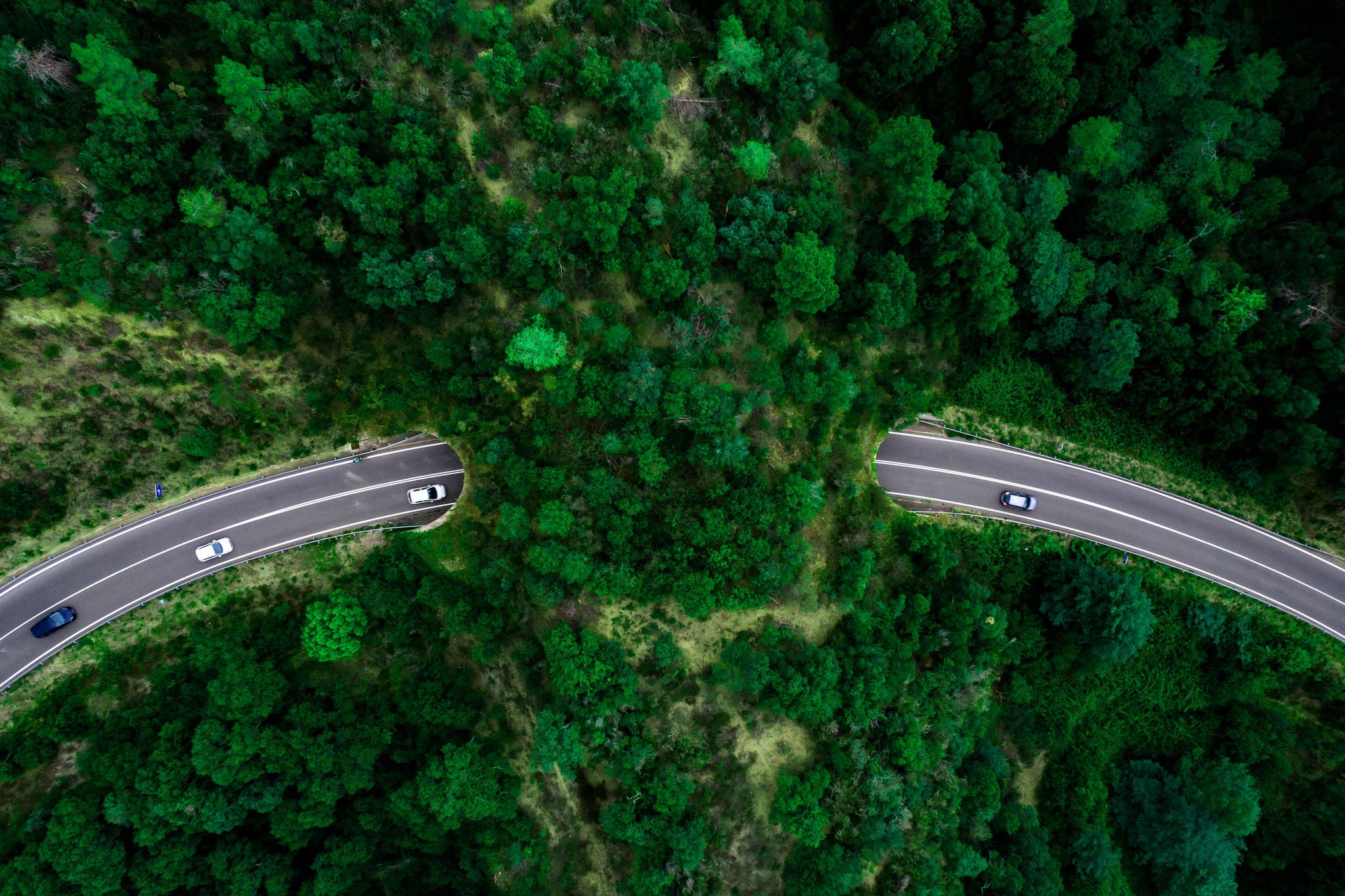 Green bridges for wildlife to permit animals cross human-made barriers like highways and railroads also to avoid car collisions and permits the expansion of species.