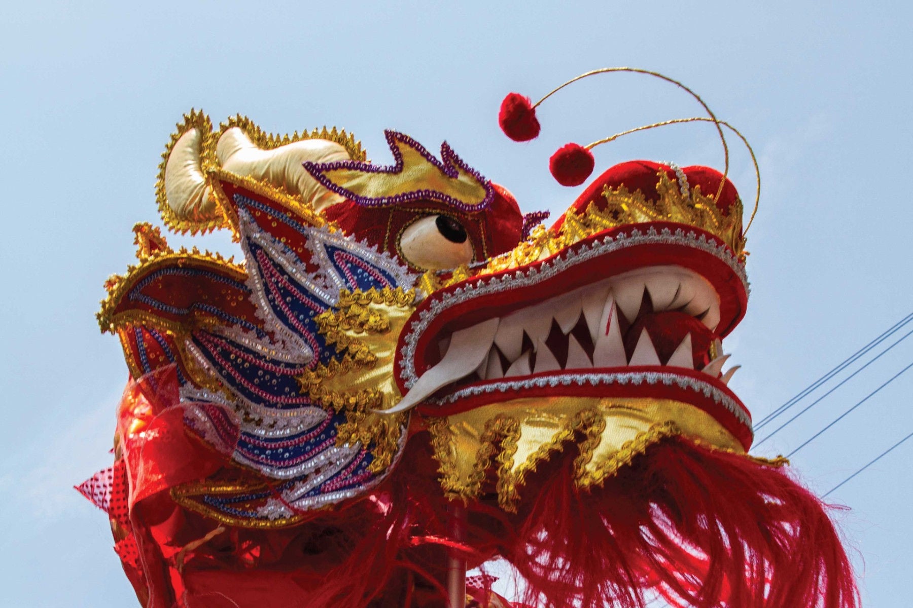 Chinese dragon 