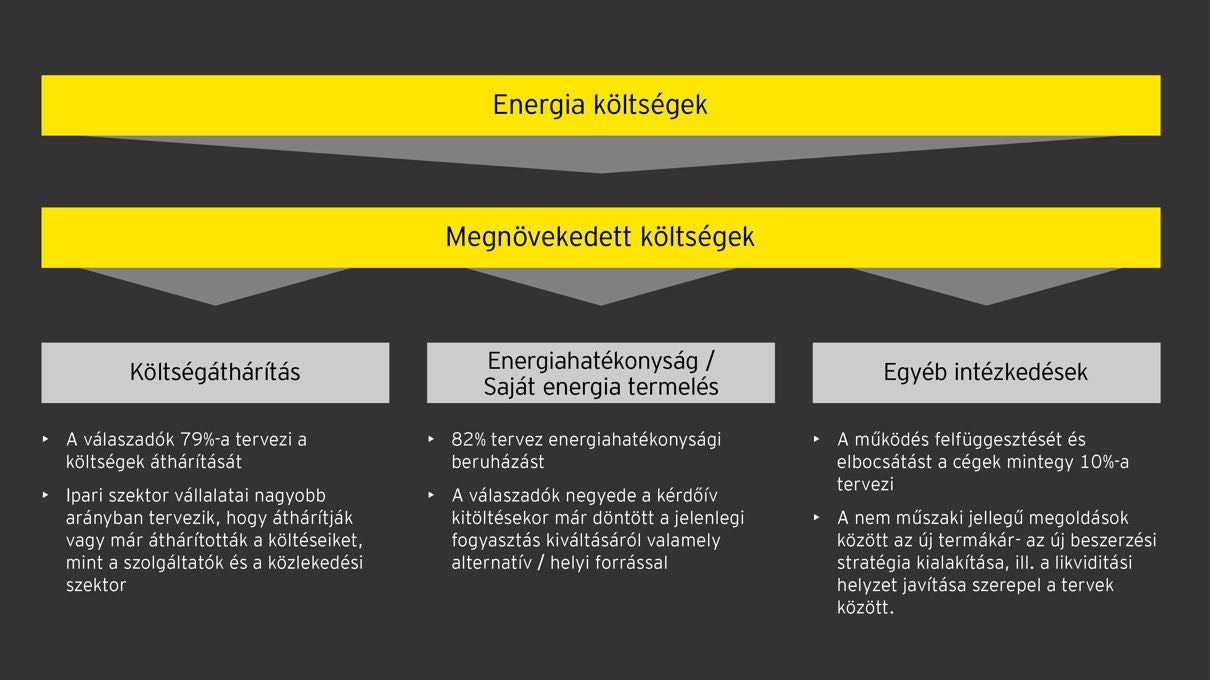 EY Kutatas Energia Koltsegek tablazat