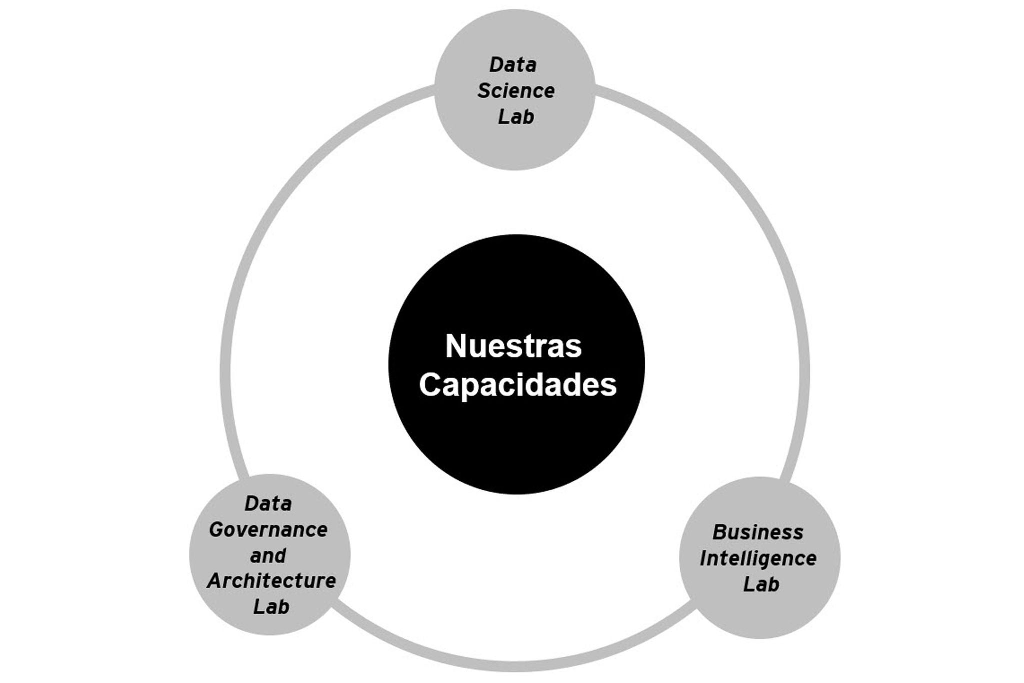 Gráfico: Nuestras capacidades