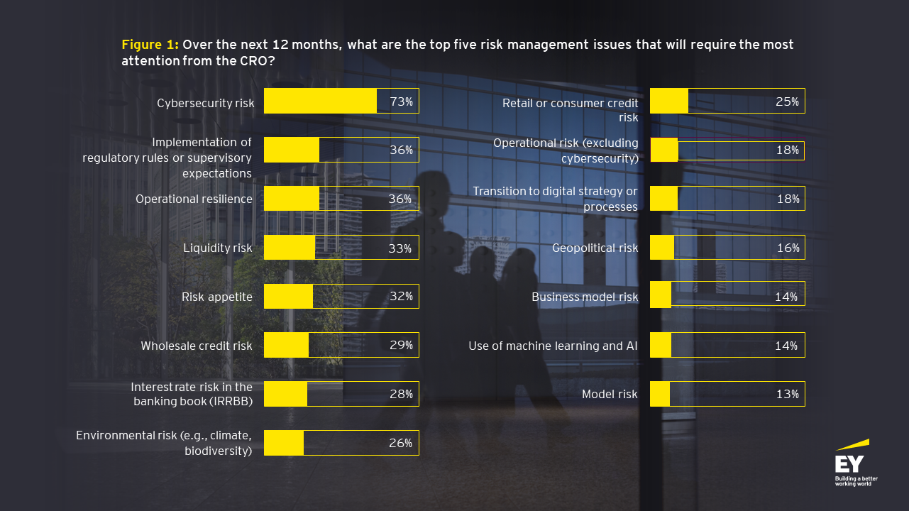 EY 13th 2f global bank risk managament survay