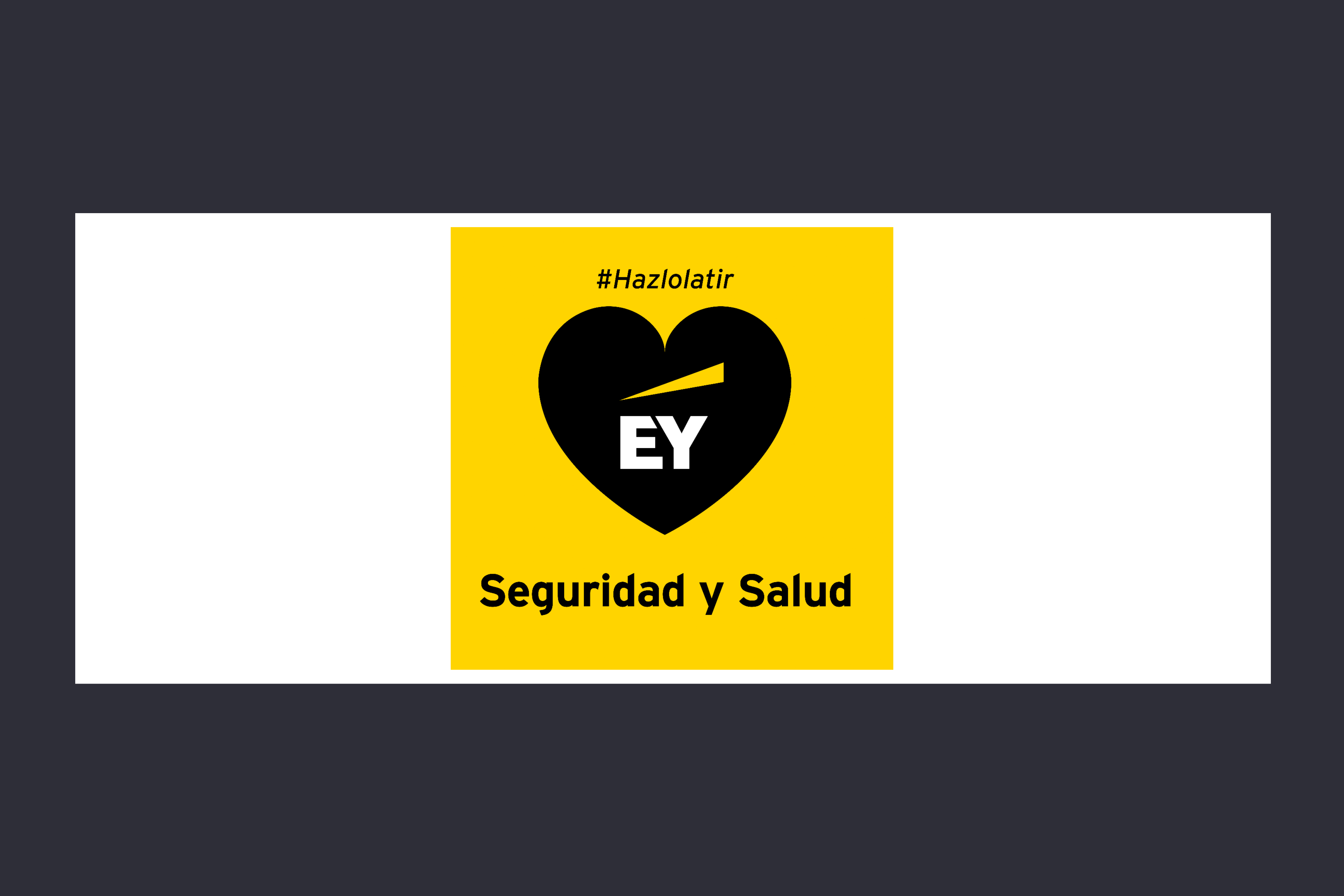 Seguridad saiud