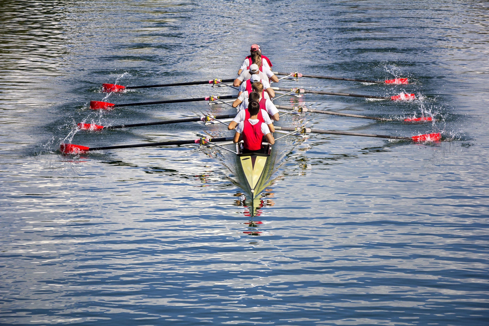 people rowing