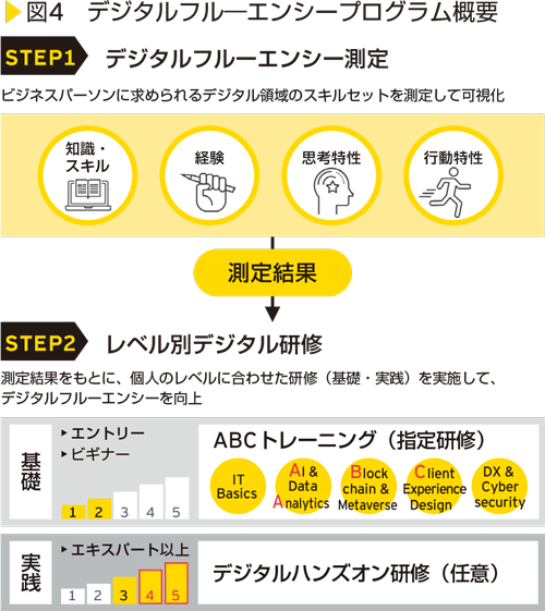 図4　デジタルフル―エンシープログラム概要