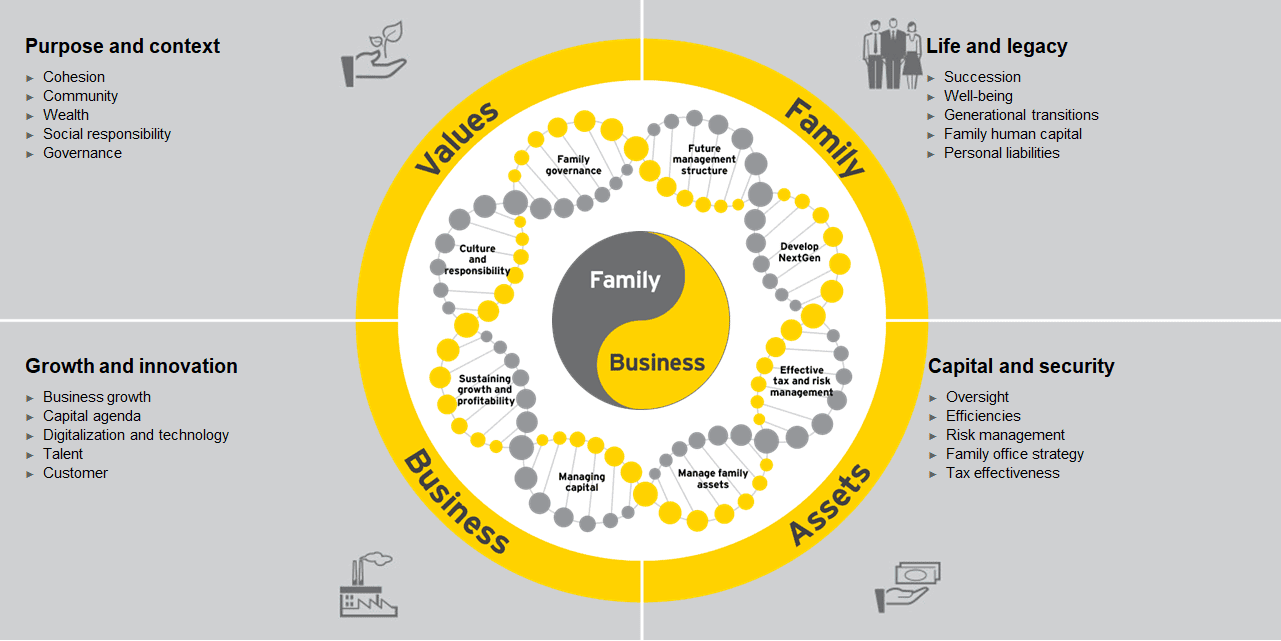 Family business growth dna