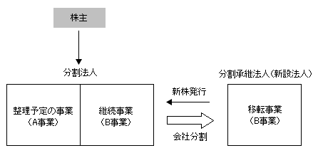 第二会社方式　図表