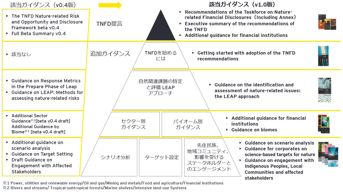 図1　TNFDの全体構成図（ベータv0.4版からv1.0版への変遷）