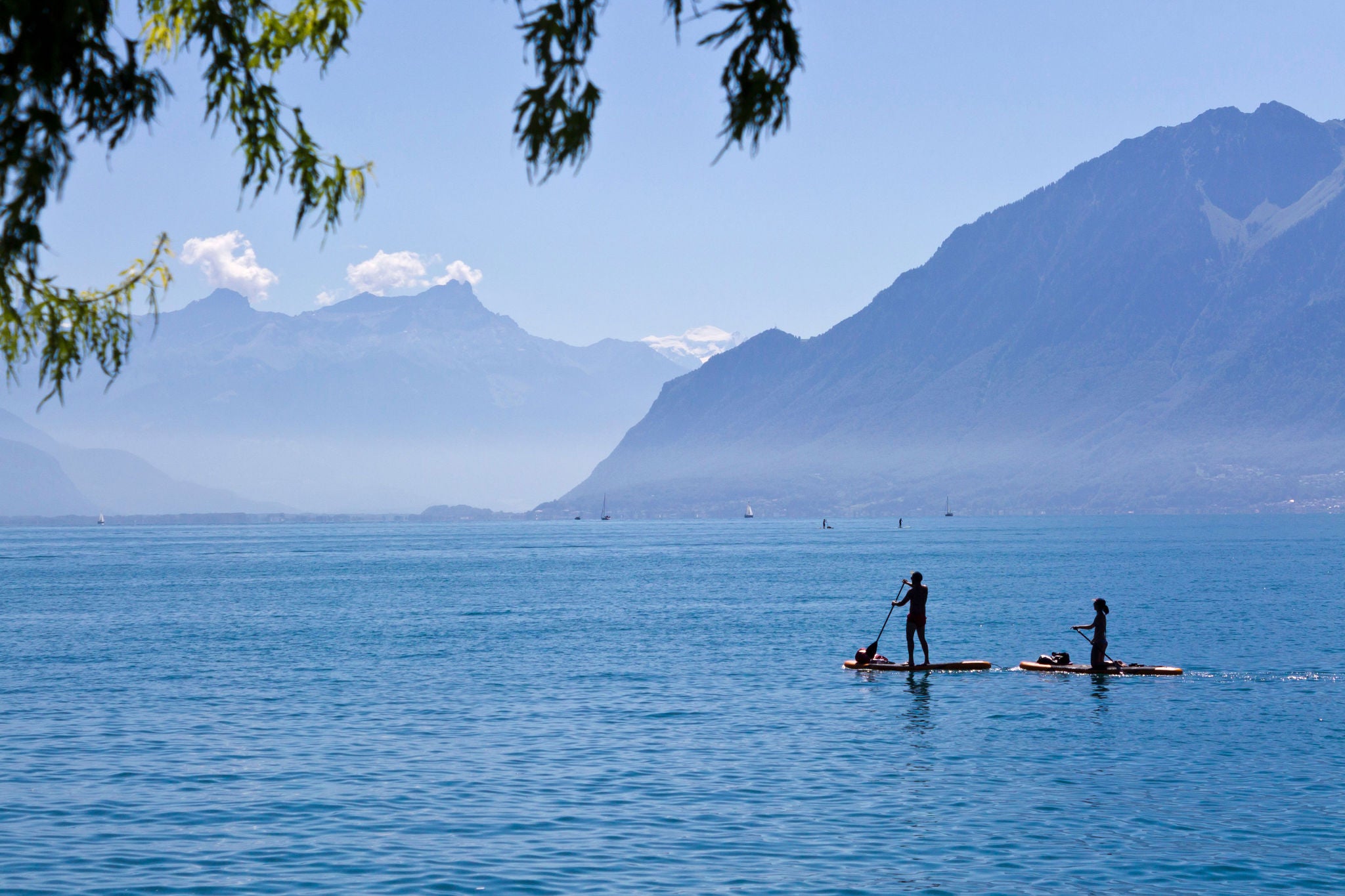 two people paddle surfing on the leman lake