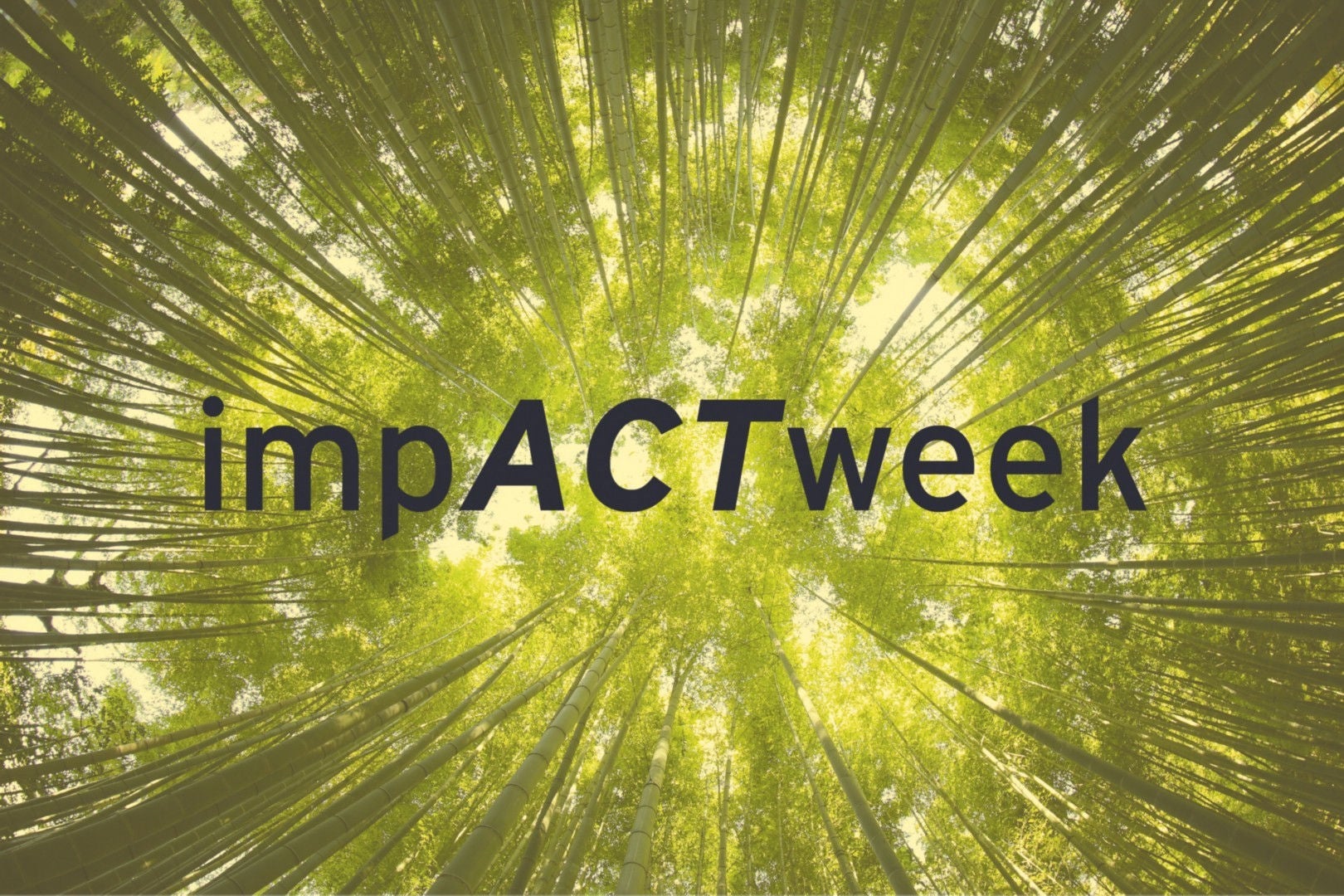 impact week 2022