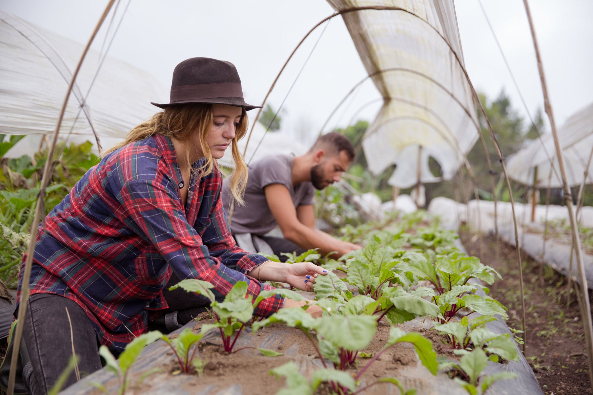 Couple together doing agriculture