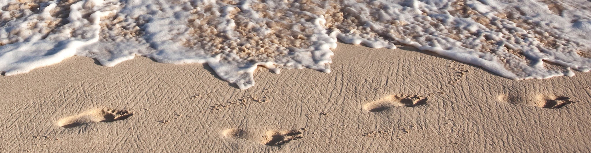 Footsteps on the beach. Tropical climate.