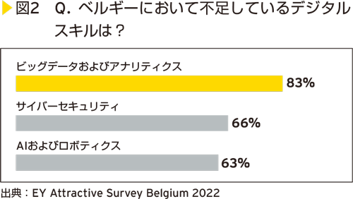 図2　Q. ベルギーにおいて不足しているデジタルスキルは？