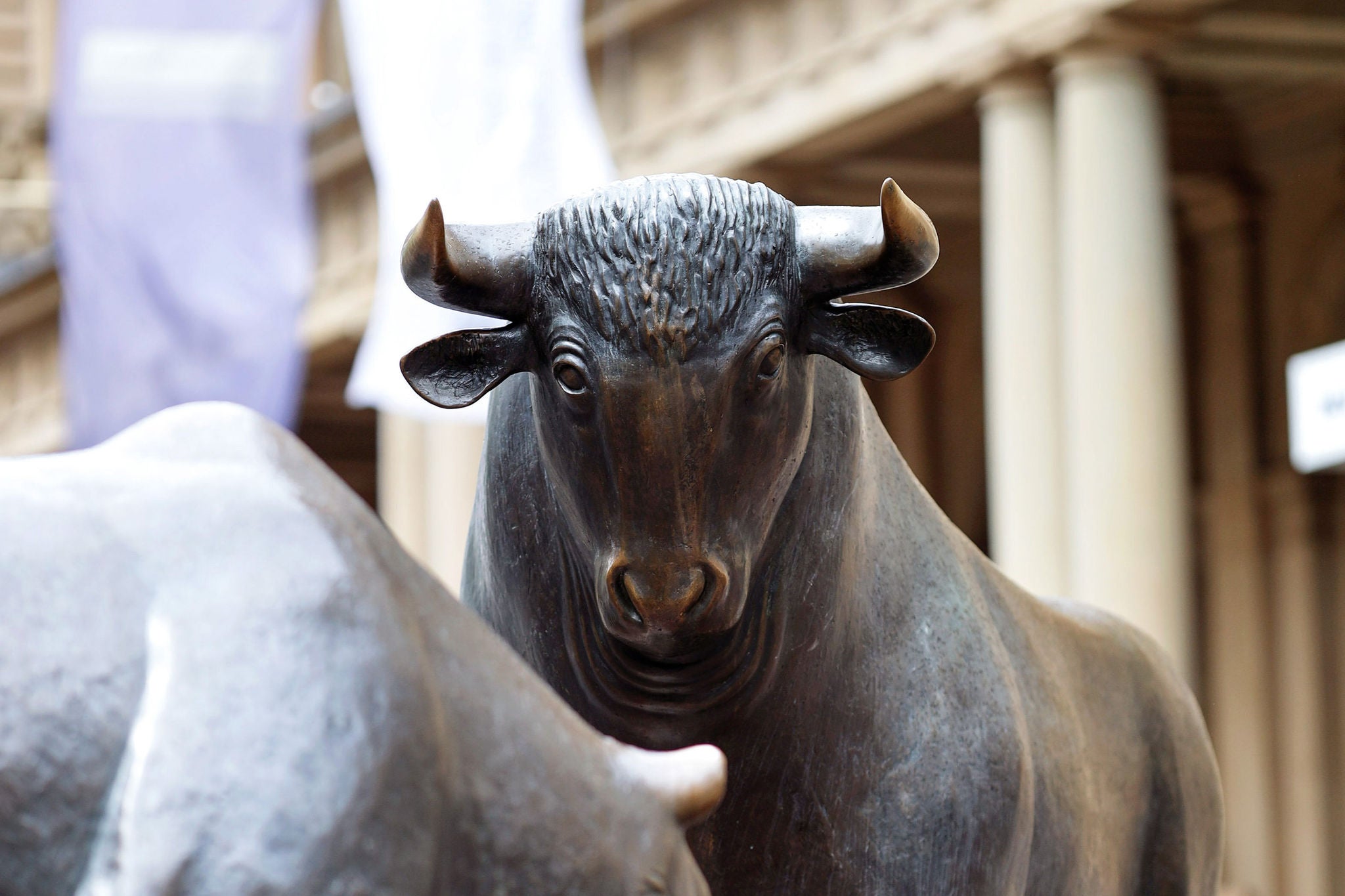 Bulle und Baer vor der Frankfurter Wertpapierboerse