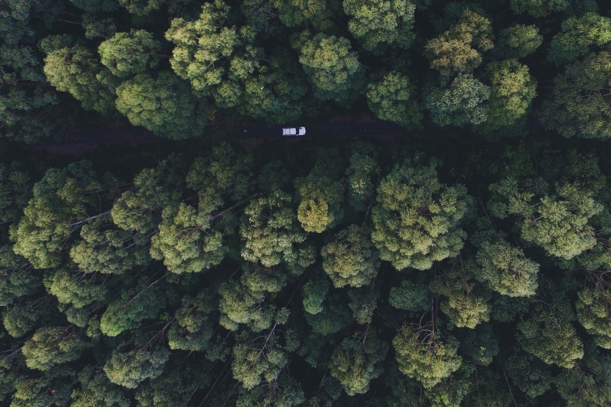 Spectacular drone view of automobile riding along off road in highland terrain in sunny evening