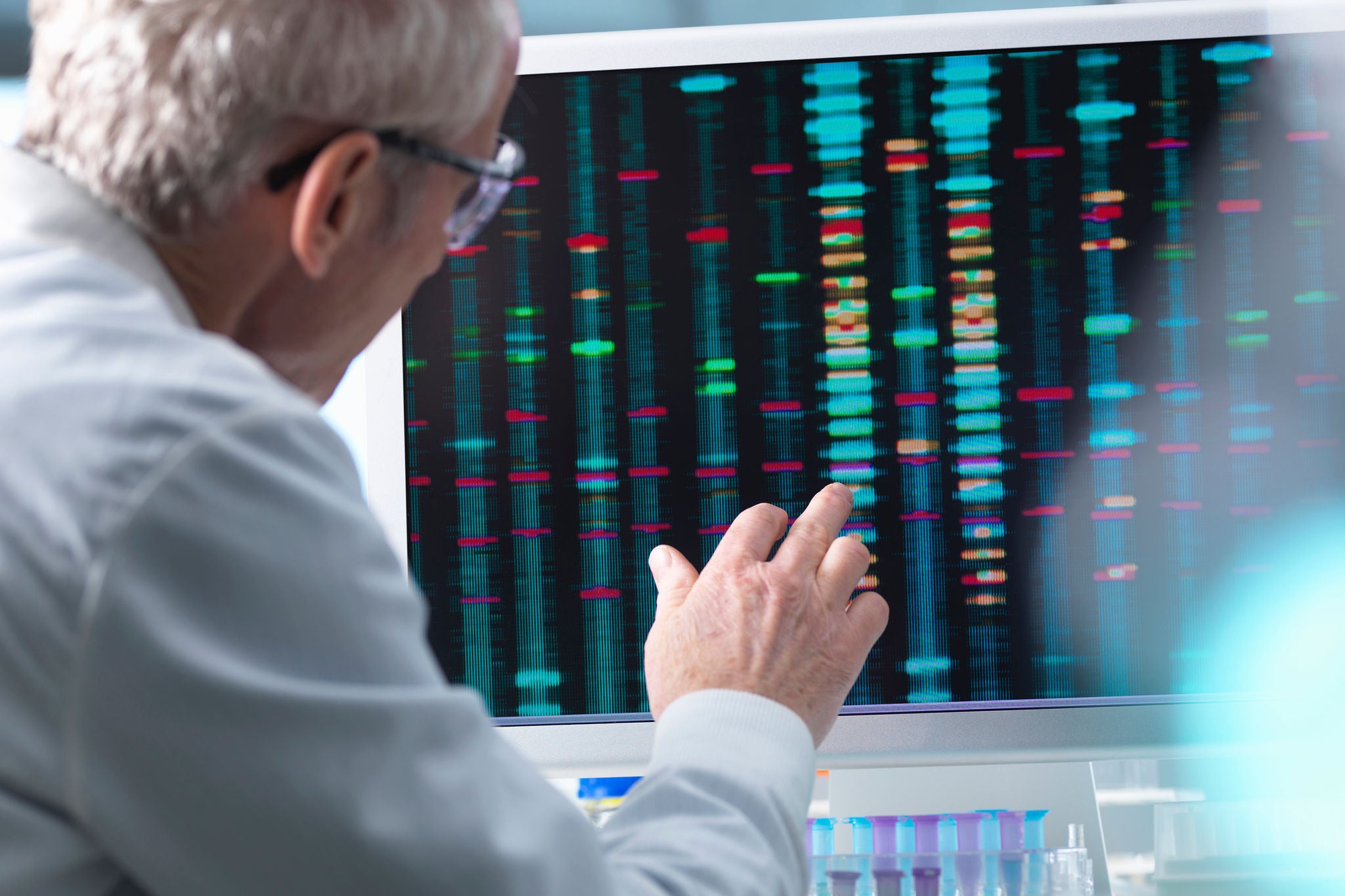 DNA Research, Scientist comparing DNA results on a computer screen in the laboratory