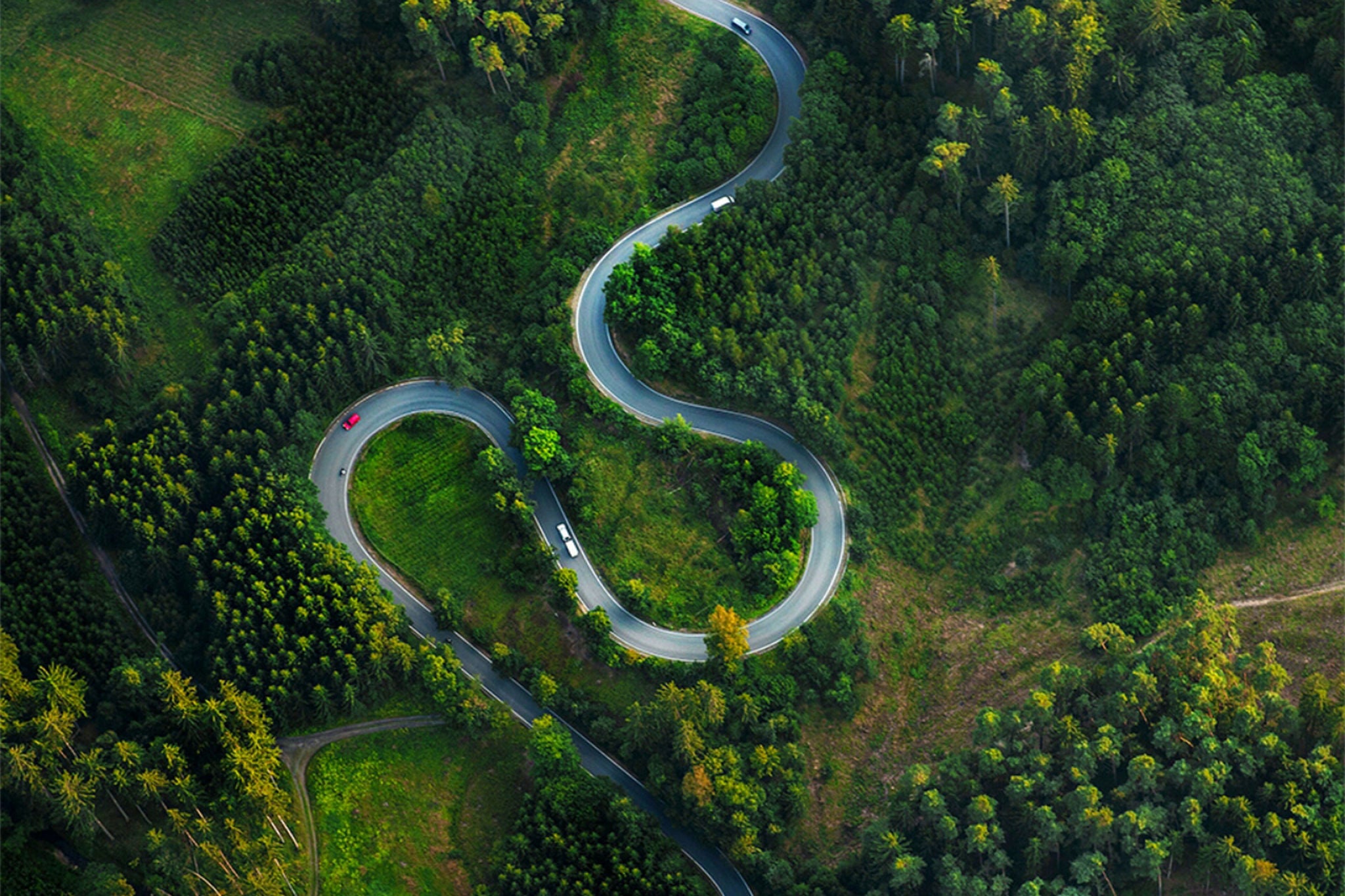 HIGH ANGLE VIEW OF TREES ON LANDSCAPE