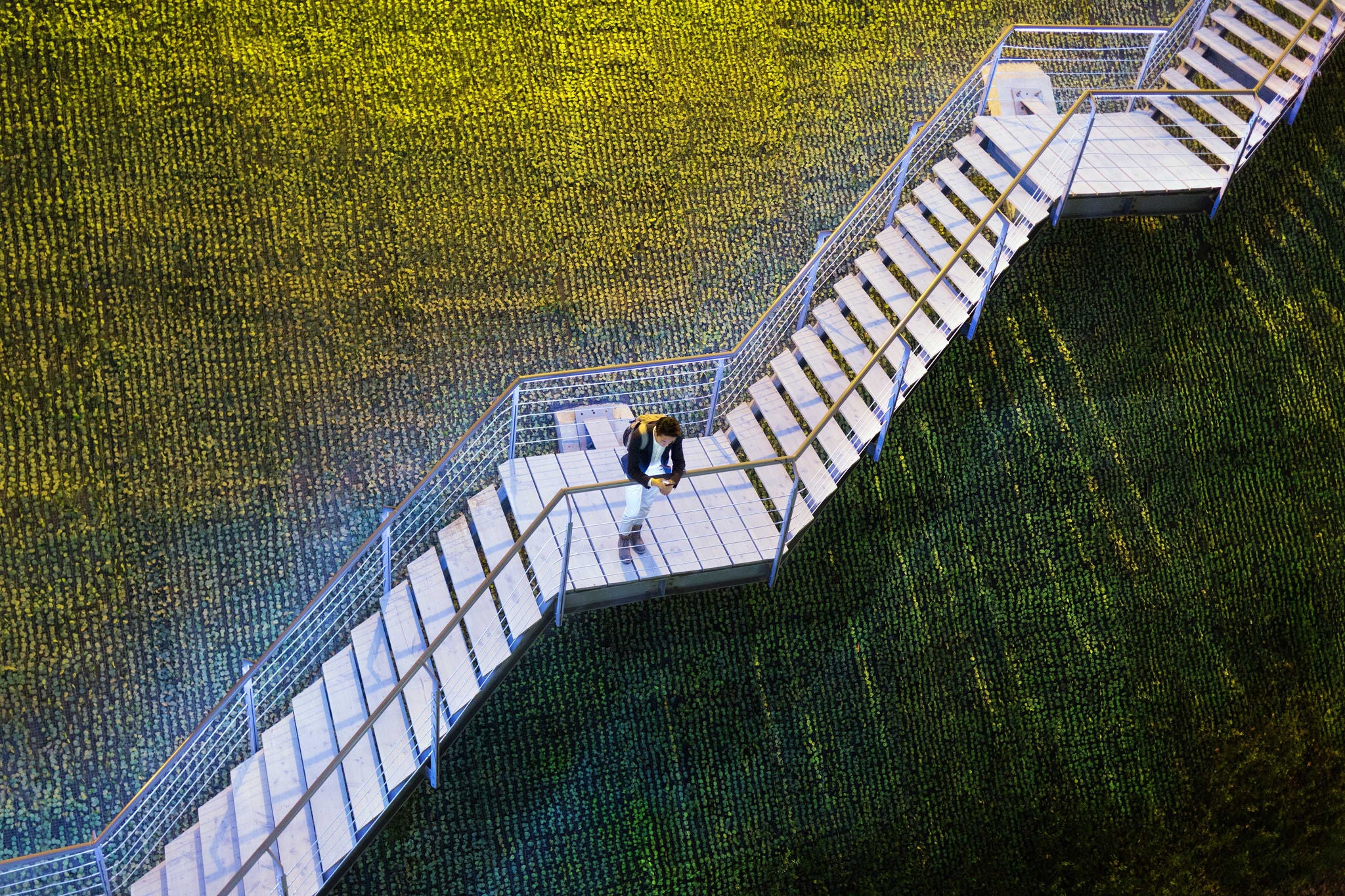 businessman on stairs