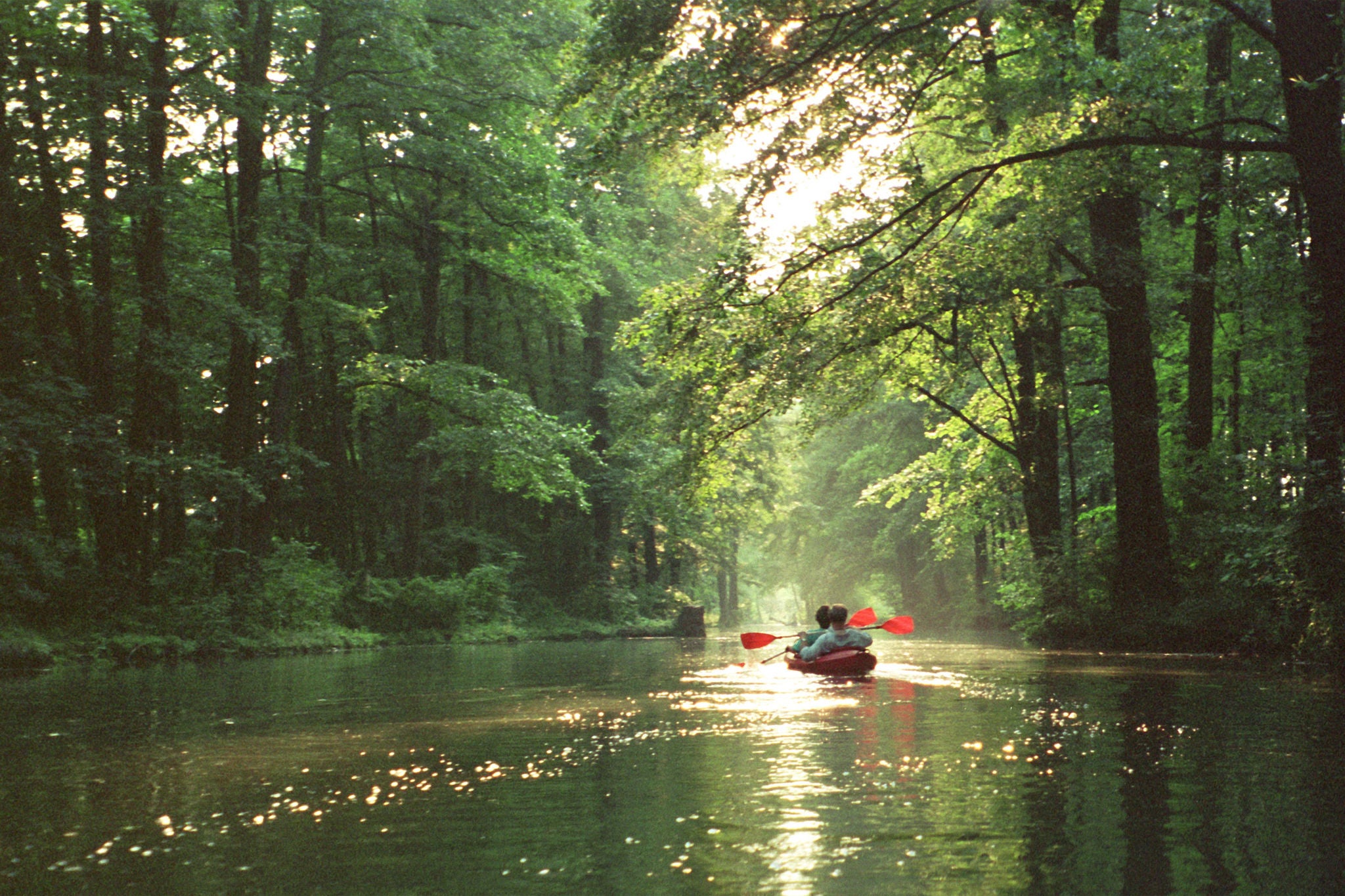 people in boating