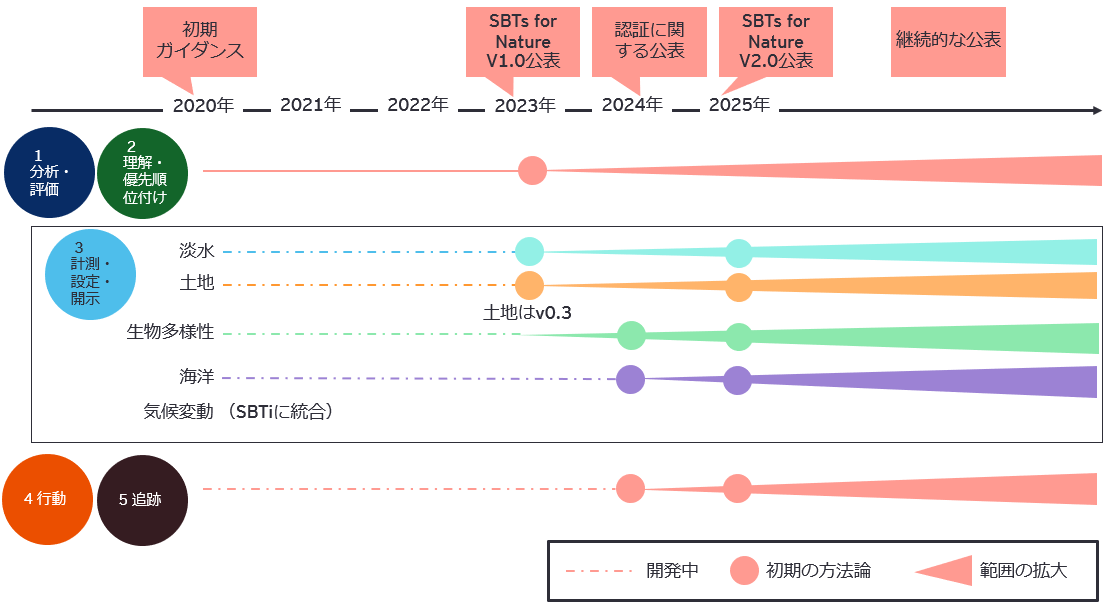 図1　開発のロードマップ