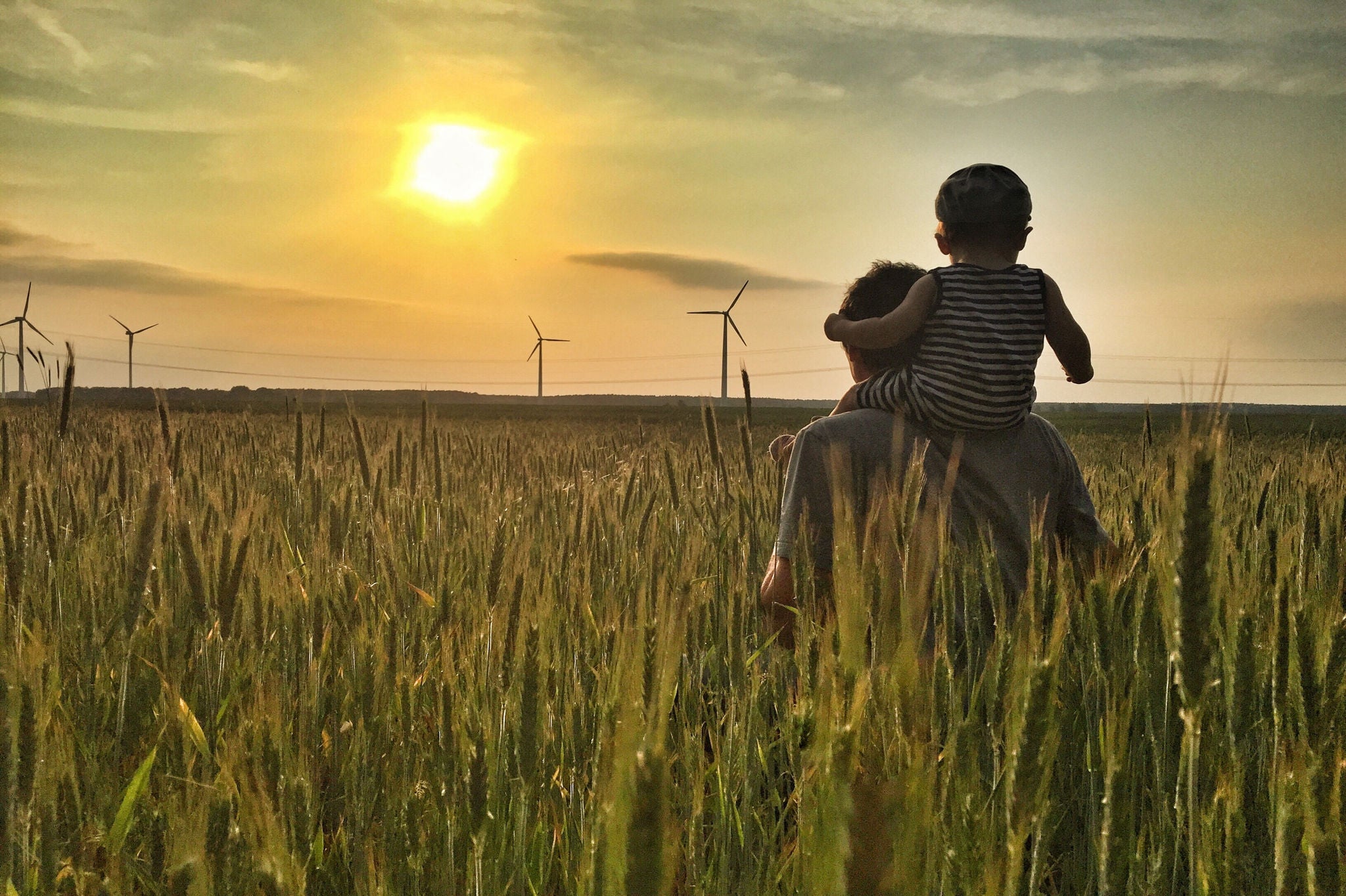 Father and son in field with windmills