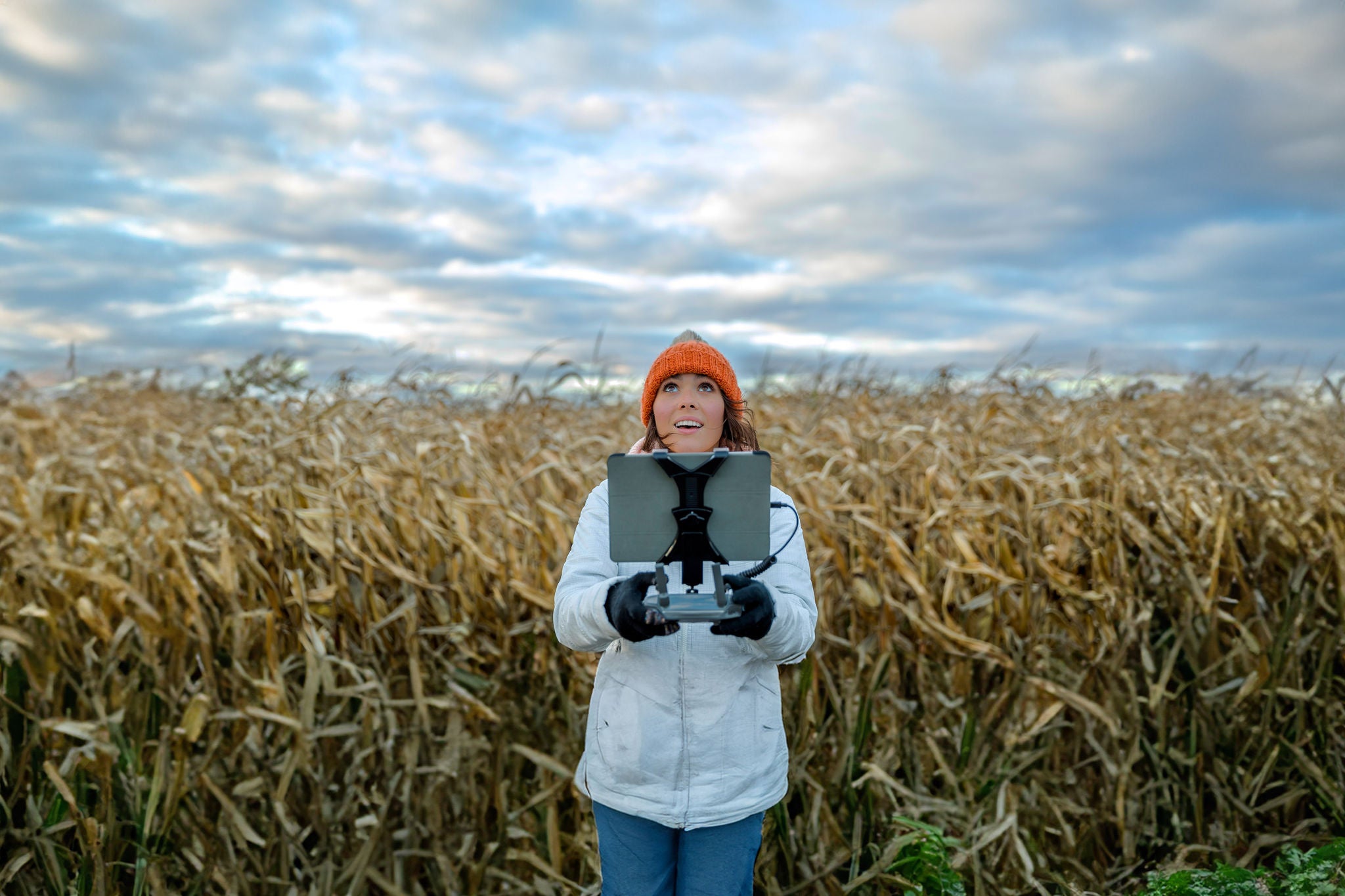 Woman pilot using drone remote controller in corn field