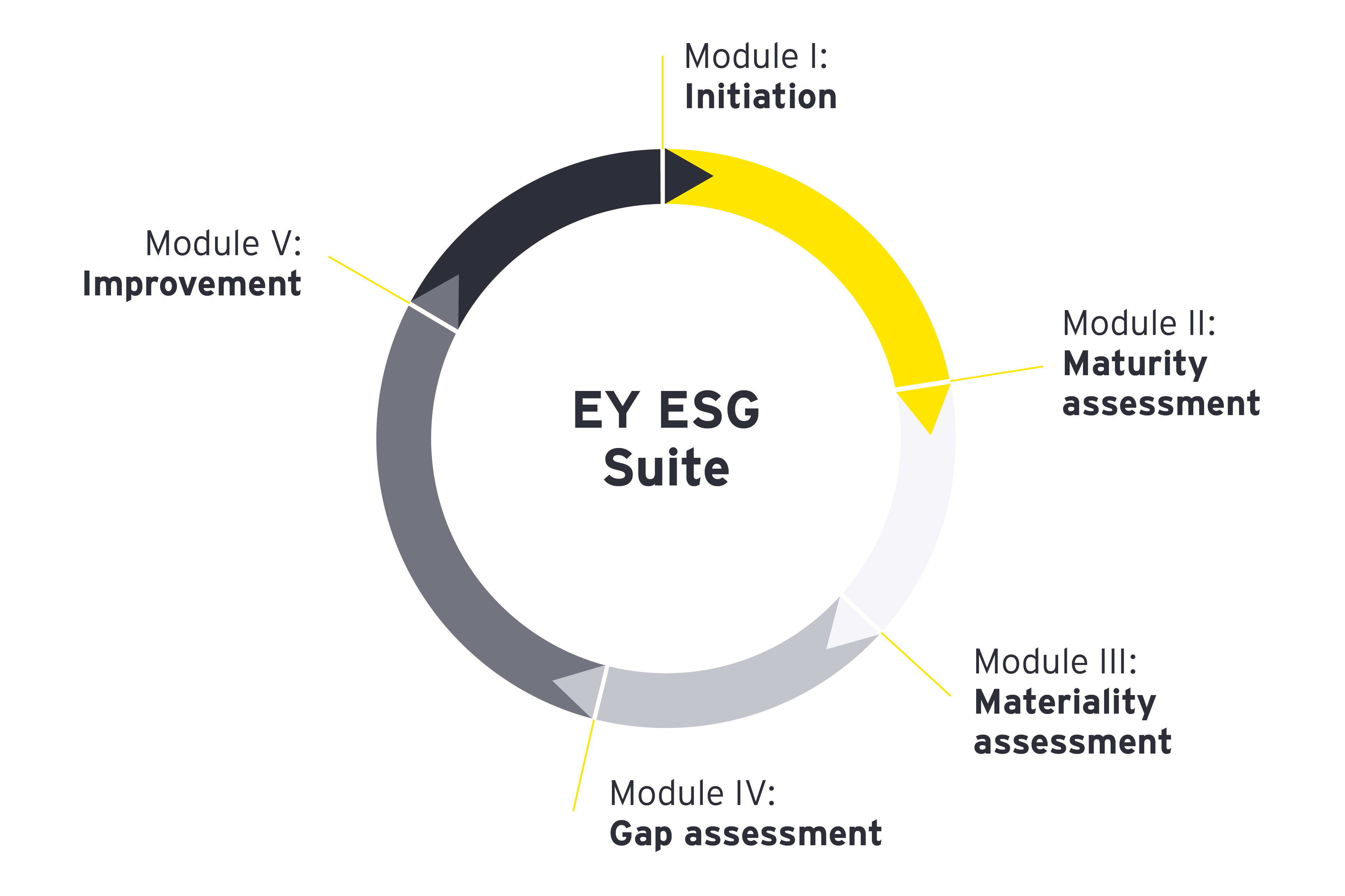 The EY ESG Suite consists of five modules: Initiation, Maturity assessment, Materiality assessment, Gap assessment, and Improvement