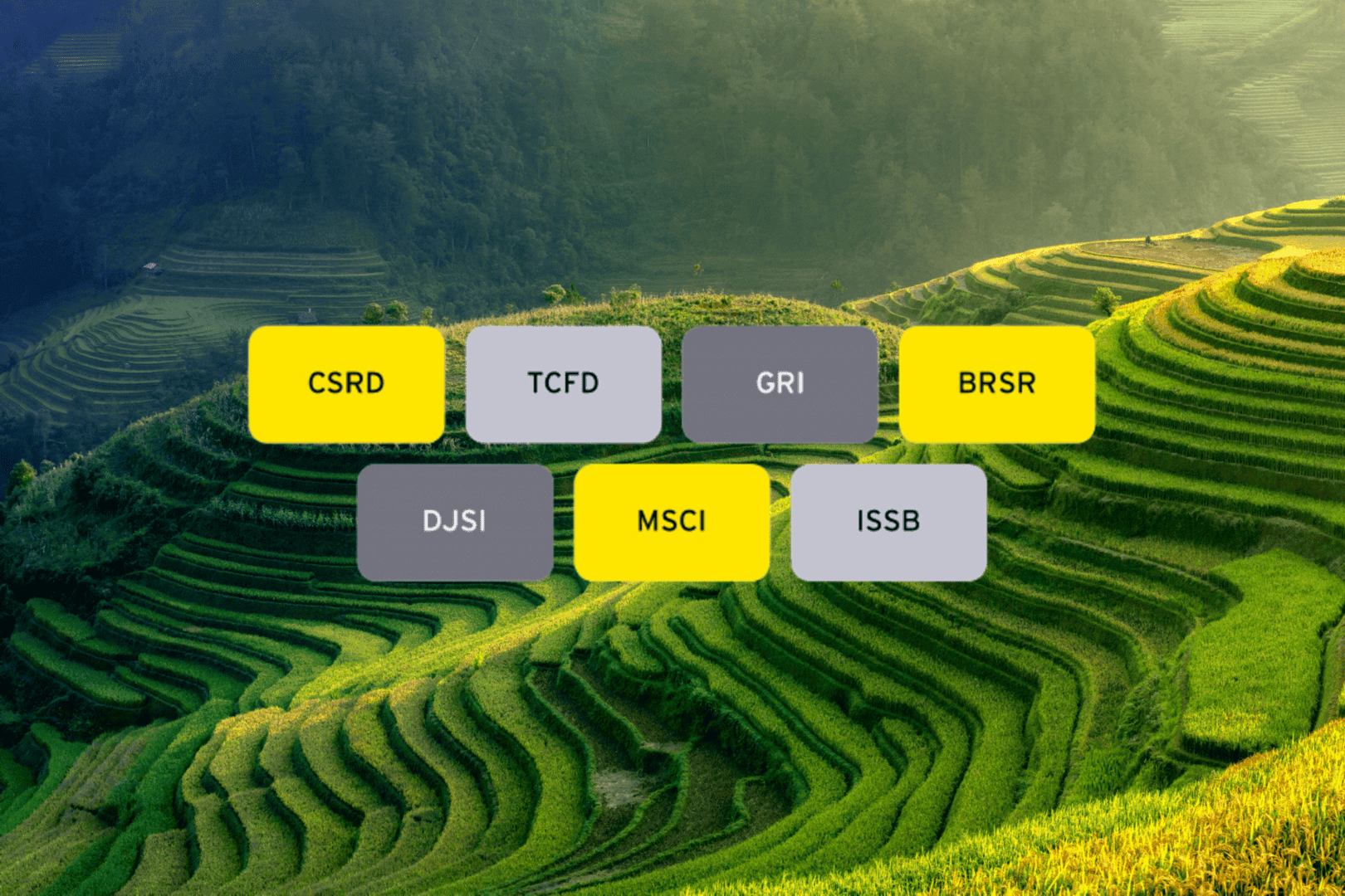 ey-sustainabilityey-global-monitoring-bodies-v1