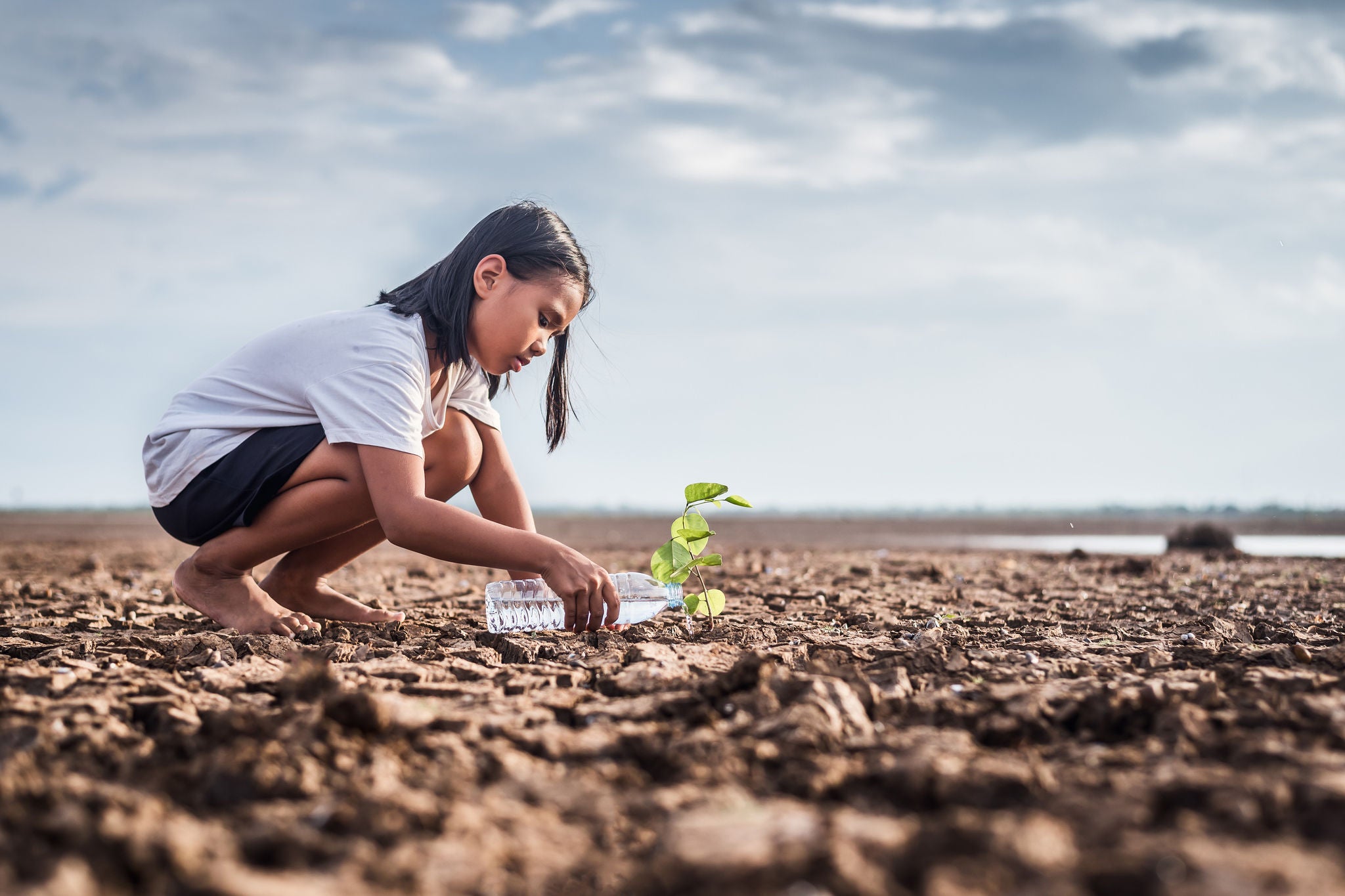 Accounting for climate change