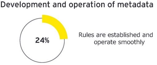 Development and operation of metadata