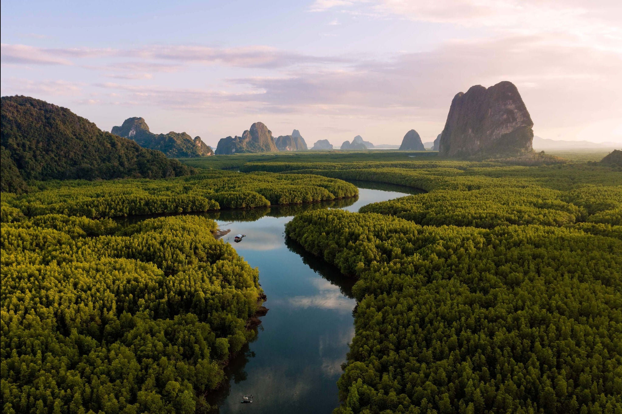 Aerial-view-of-river-through-mangroves