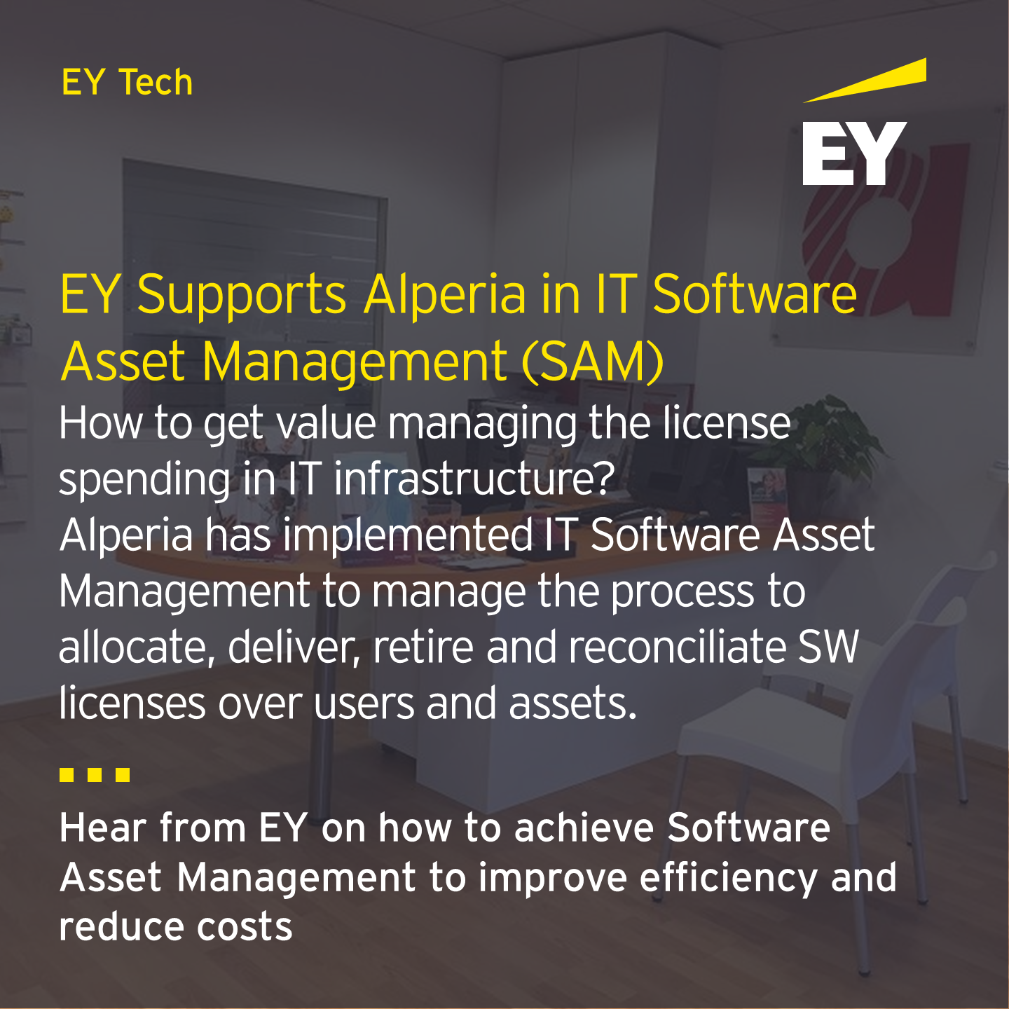 ey-supports-alperia-in-it-software-asset-management-sam