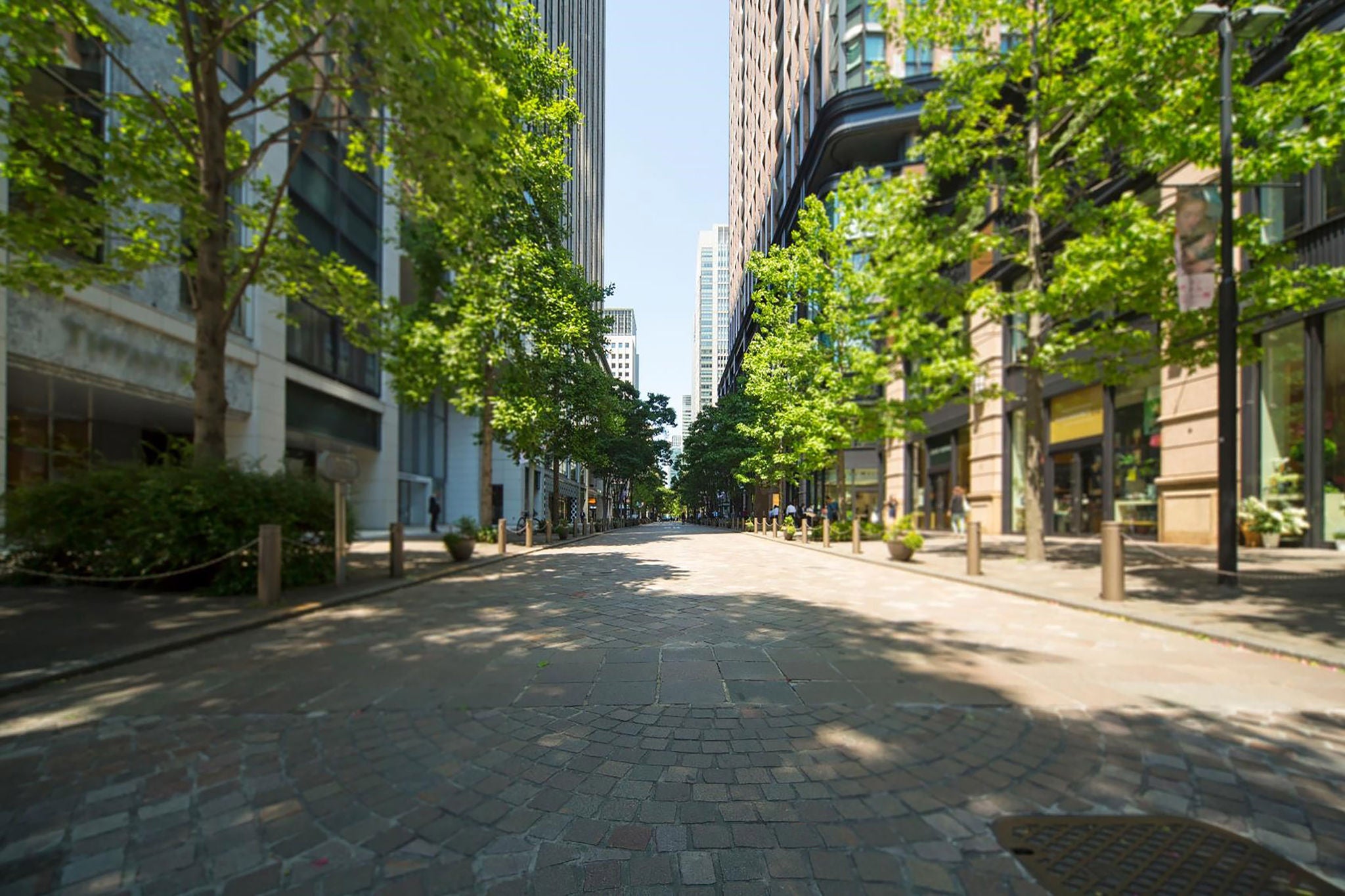 View of an empty street