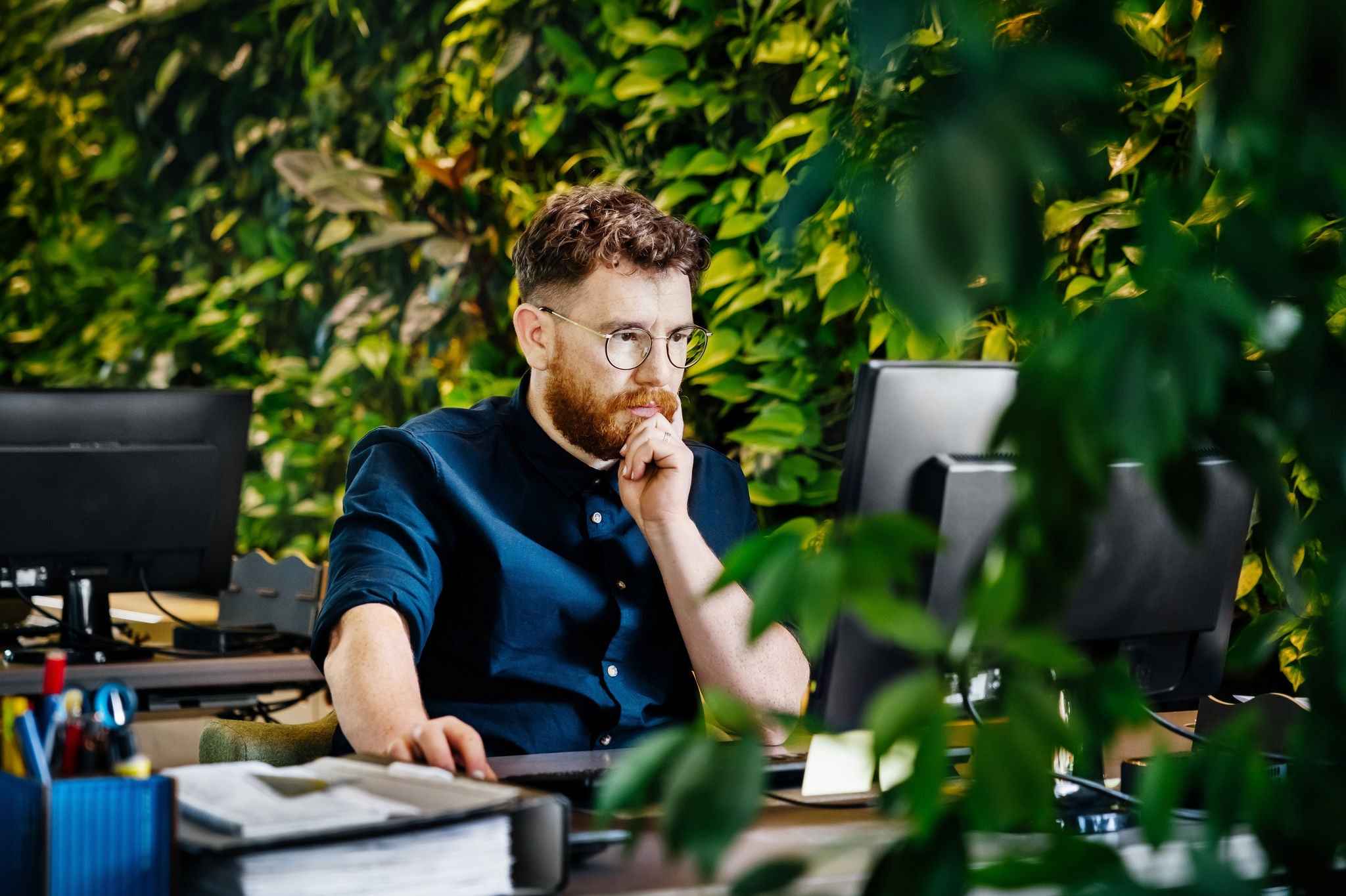 A man concentrating while sitting and working at his computer desk in a modern, green and leafy office space.