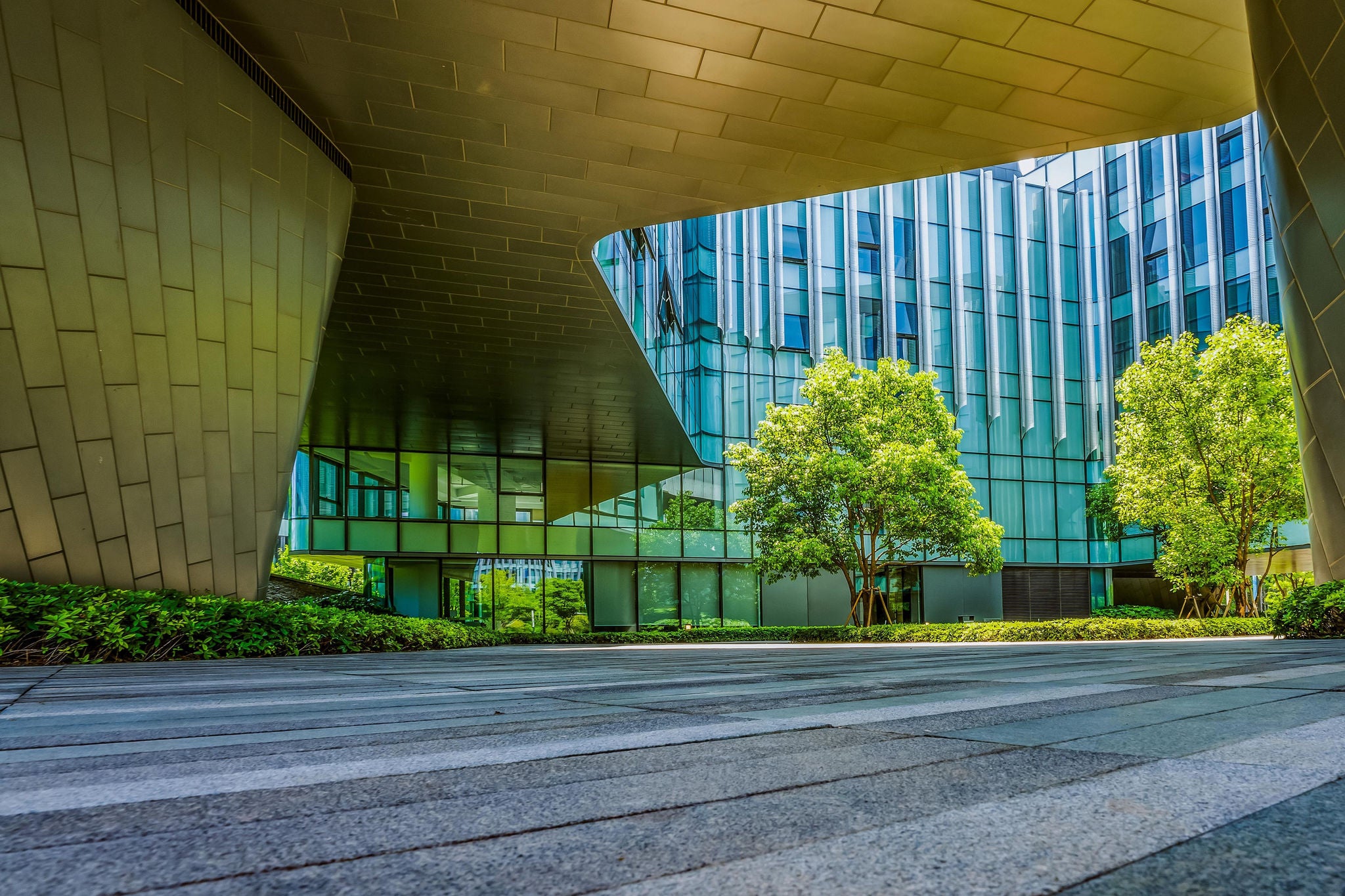 ey-modern-green-eco-office-building-with-tree-outside