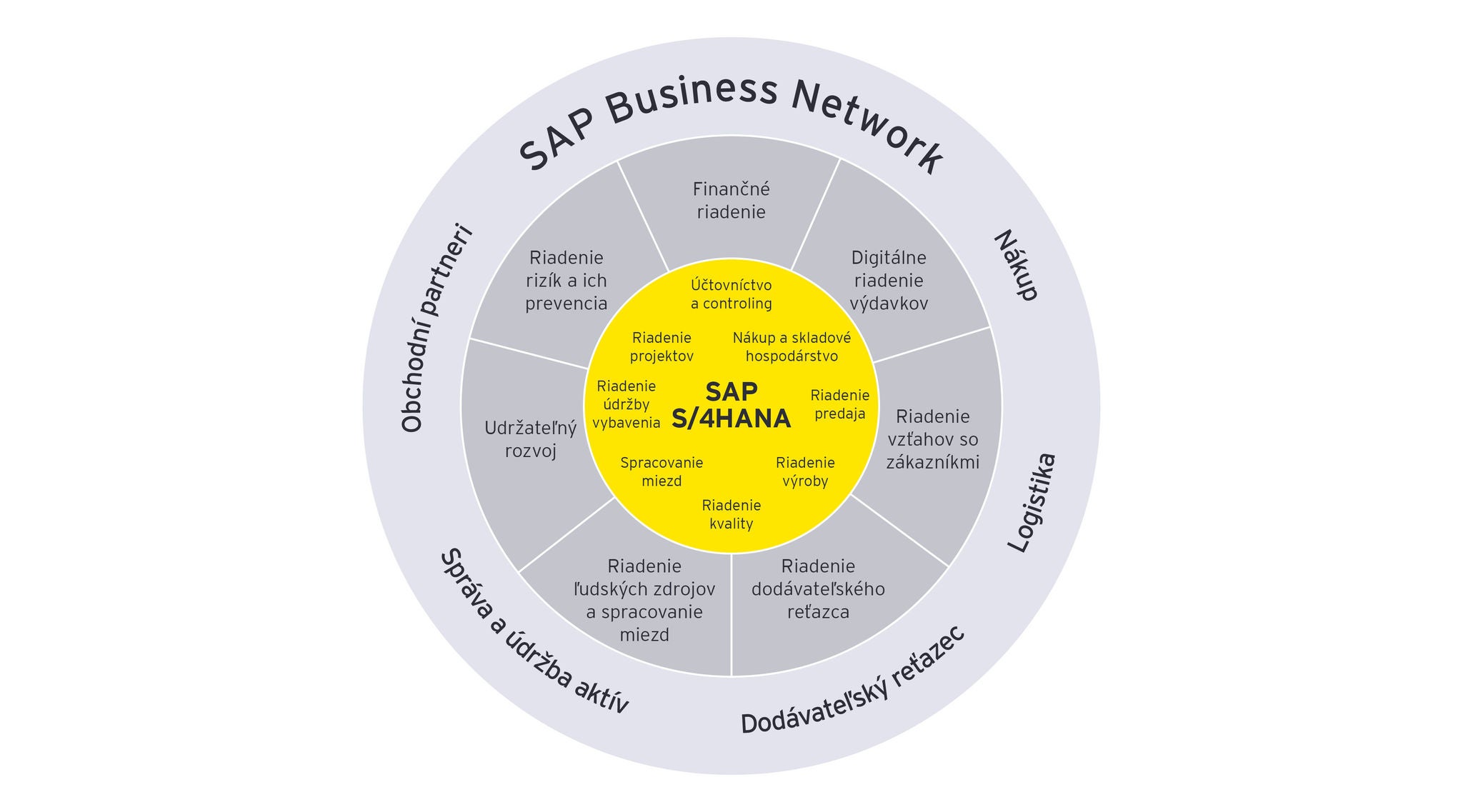 ey sap infografika