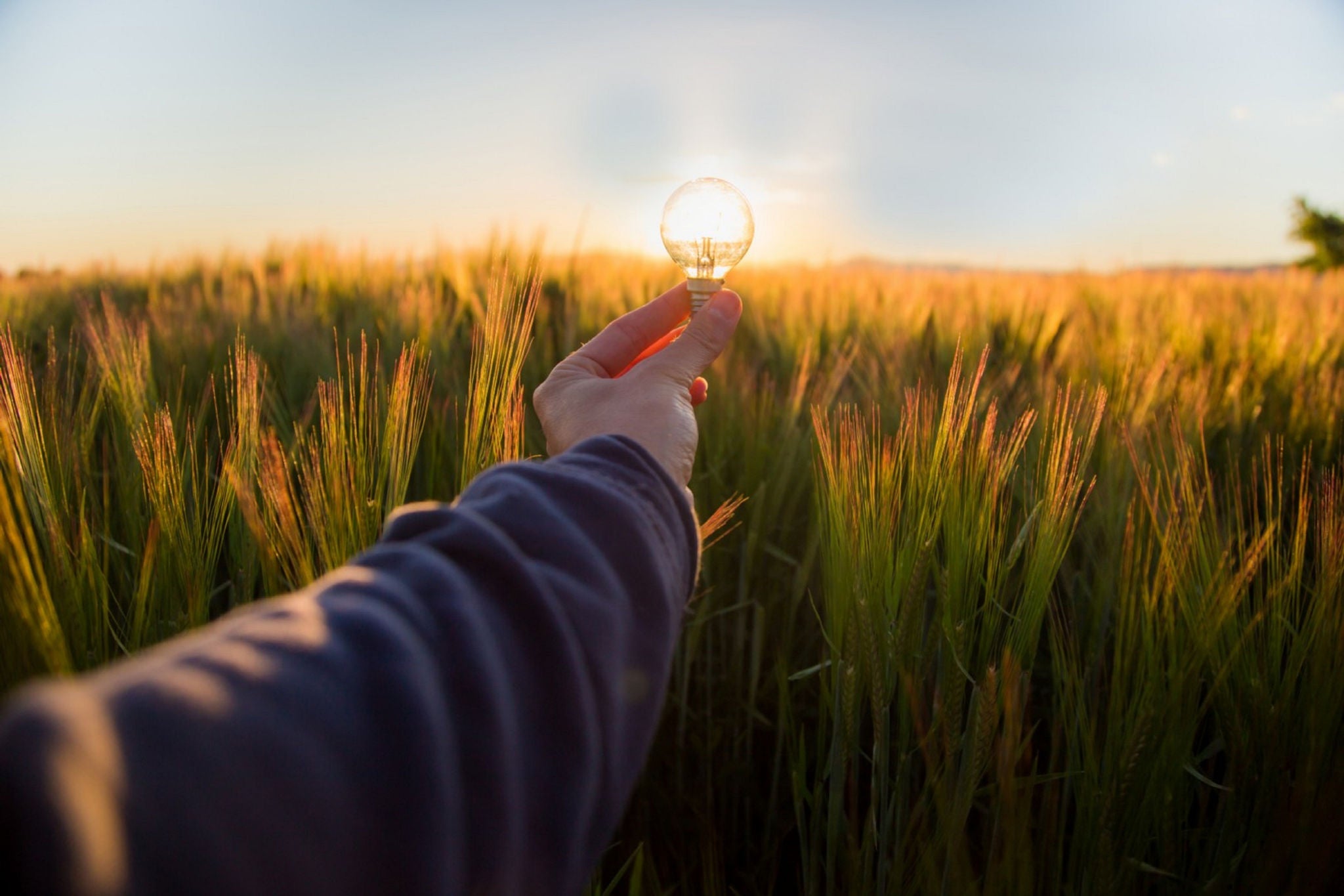  Photo of man showing bulb