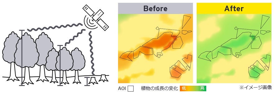 図2　森林再生活動の変化の検出