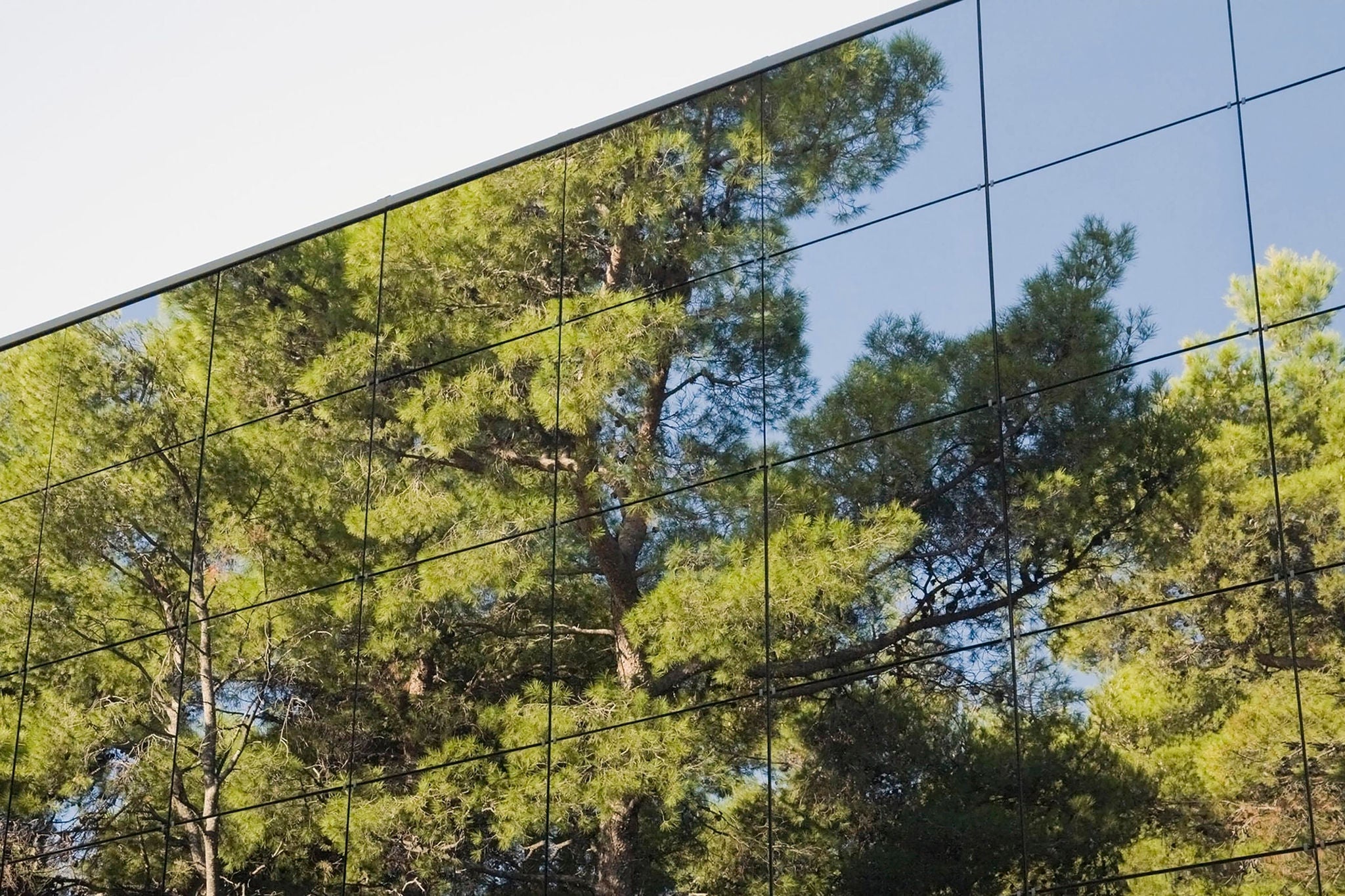 Trekroner og trær speiles i glassfasaden til en bygning i Dubrovnik, Kroatia, Øst-Europa.