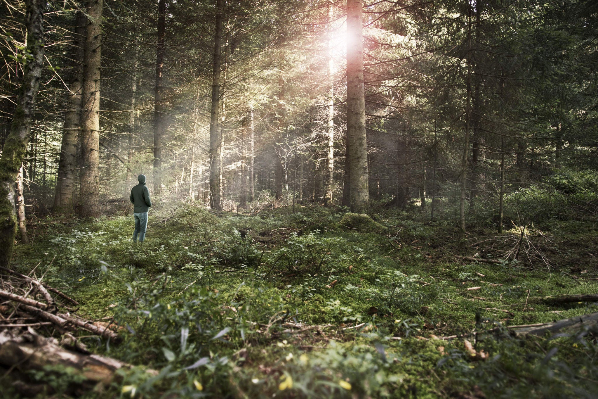 Man standing  in the forest