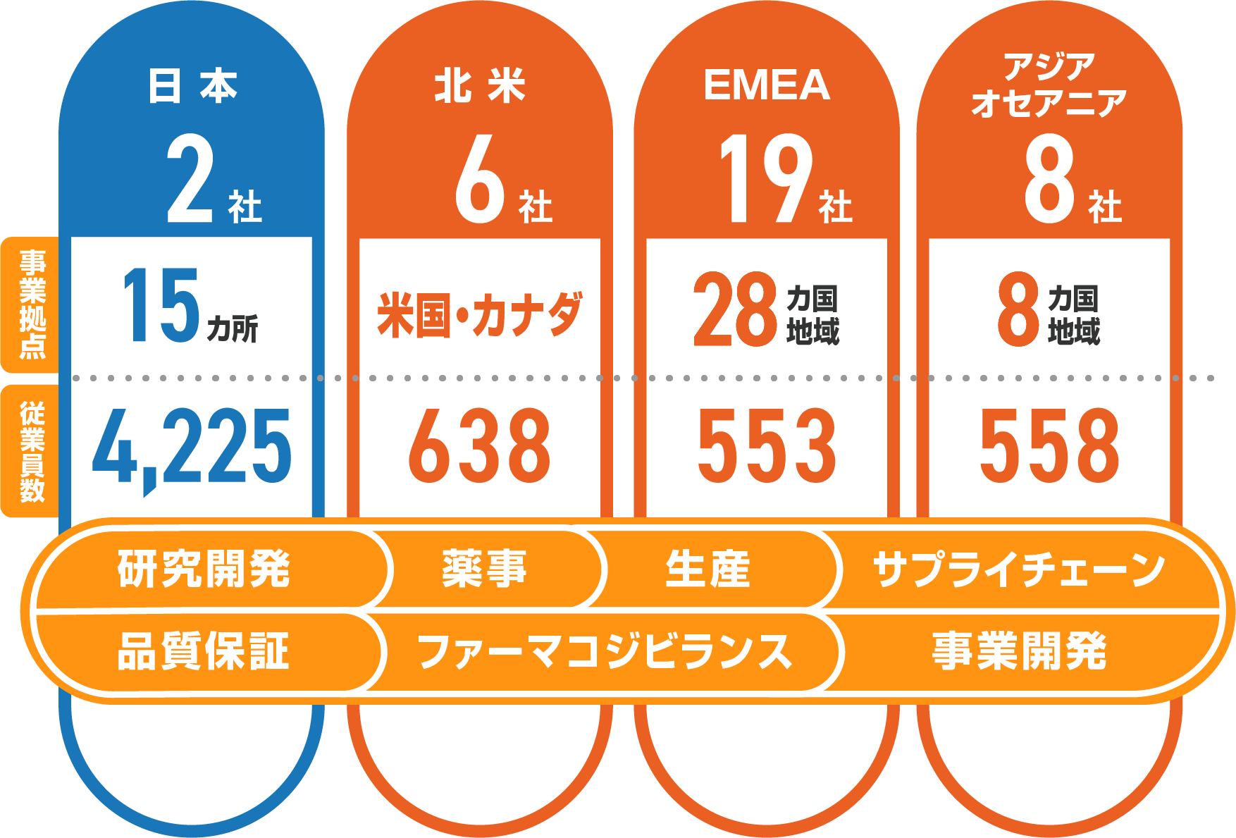 （図：One Kyowa Kirin体制図：2023年12月31日現在）