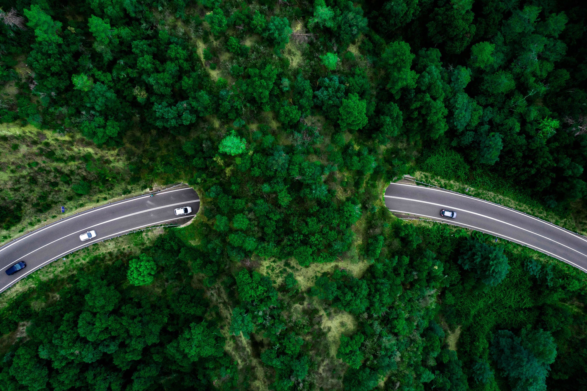 Aerial view of green bridge corridor for wildlife to cross highway safely.